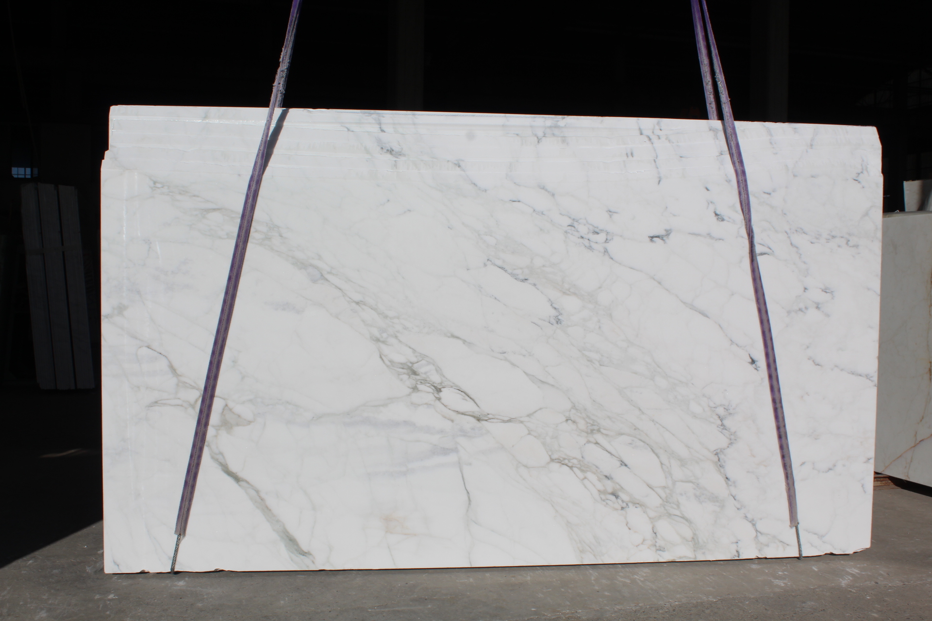 Calacatta Gold