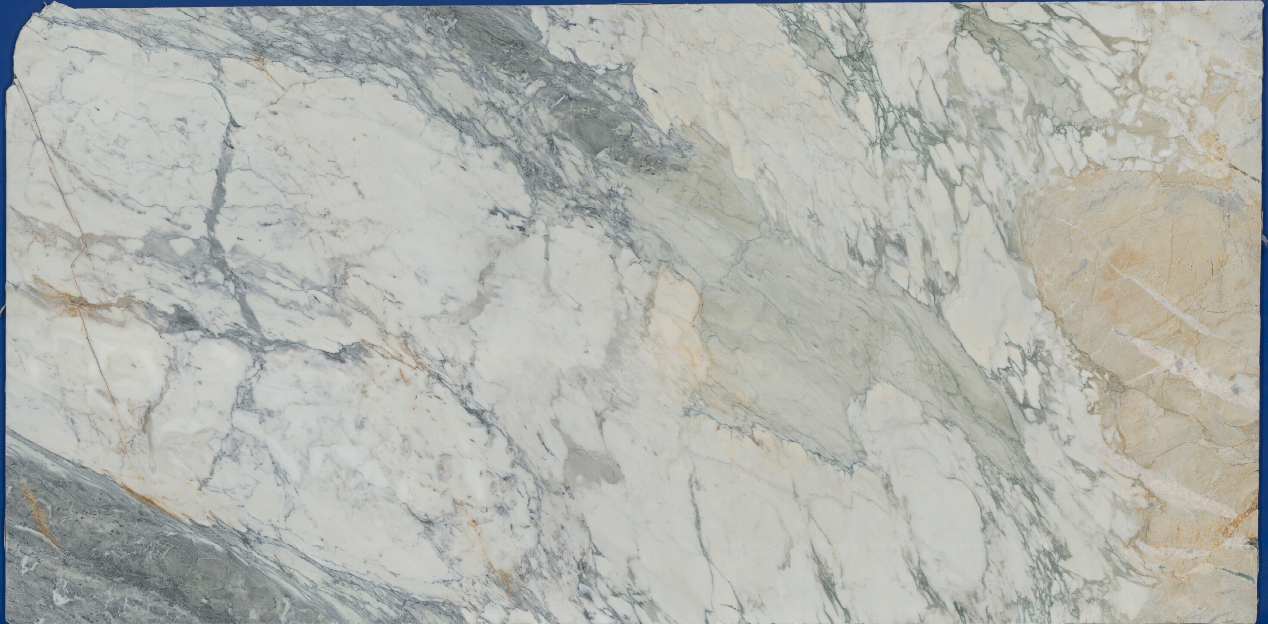 Breccia Capraia