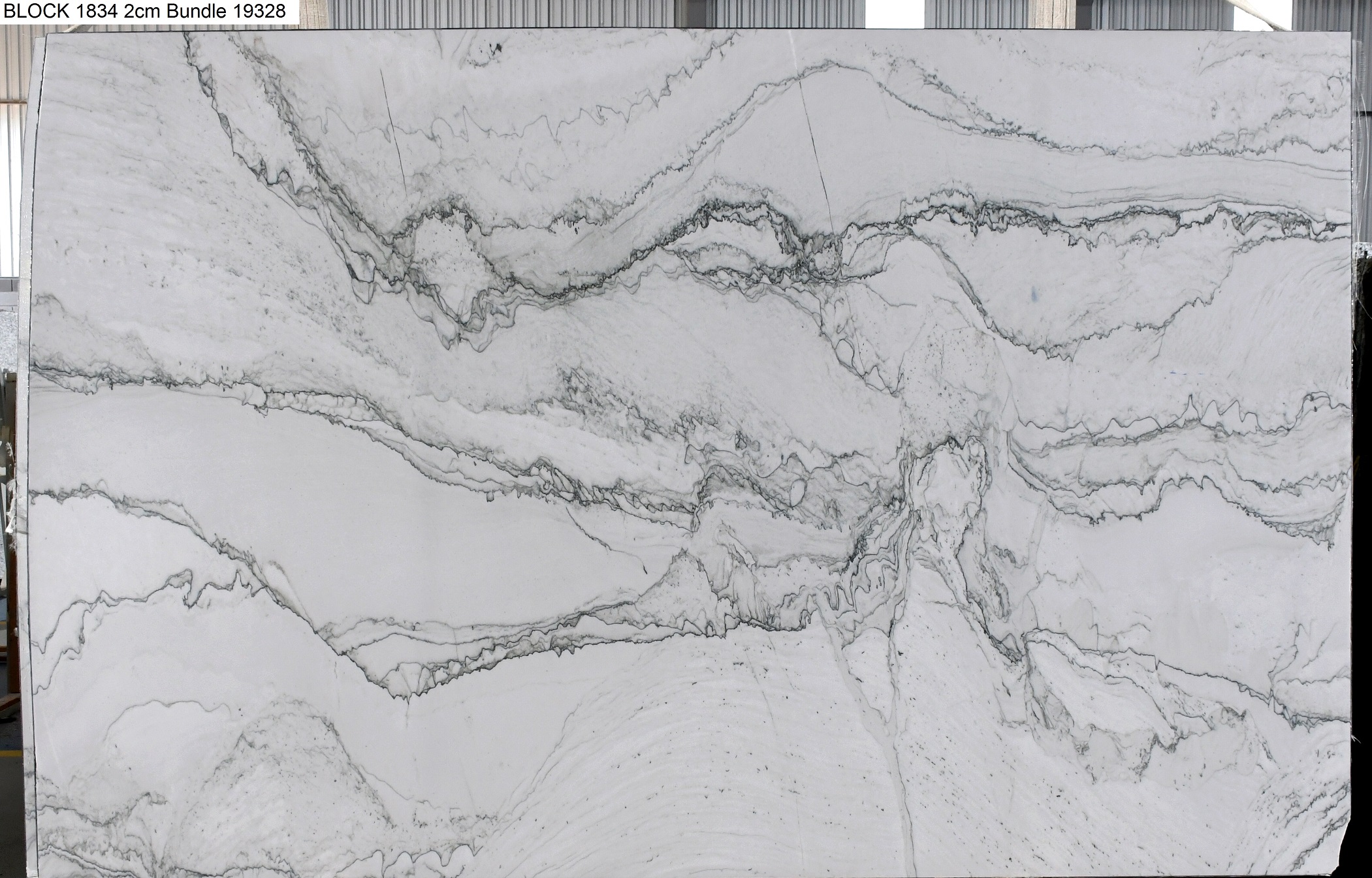 Statuario Quartzite 1st Choice 2cm Quartzite by PACIFICA