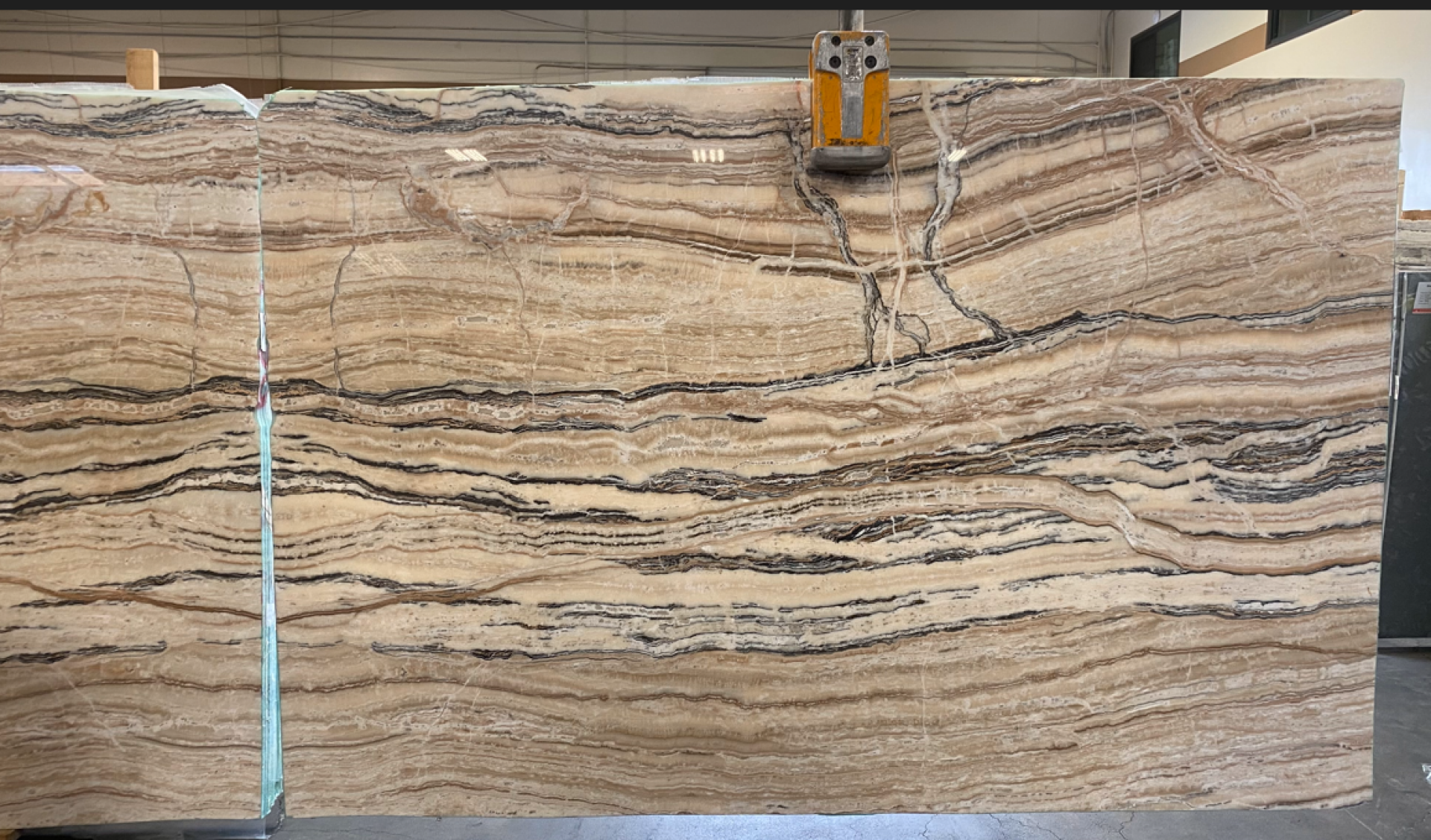 Jurassic Onyx Light