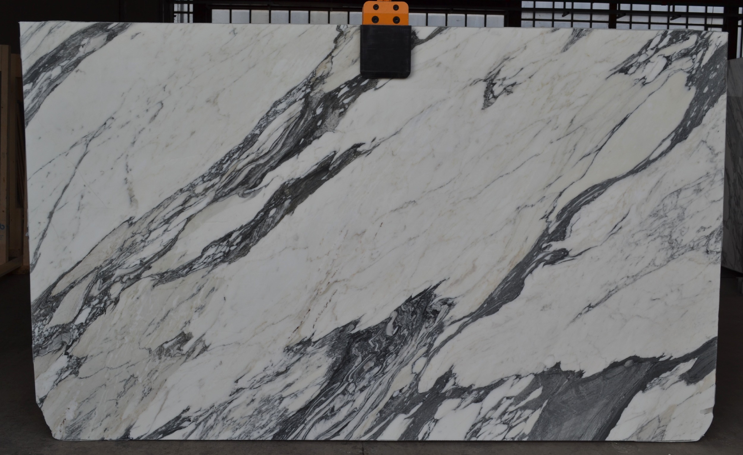 Statuario Arabescato Polished Finish 2cm Marble by PACIFICA