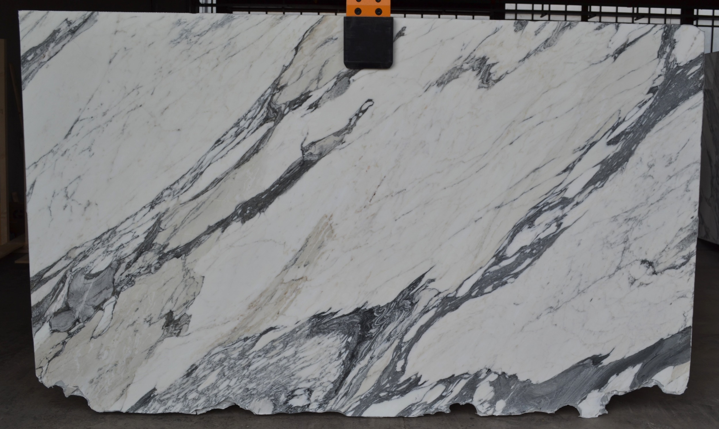 Statuario Arabescato Polished Finish 2cm Marble by PACIFICA