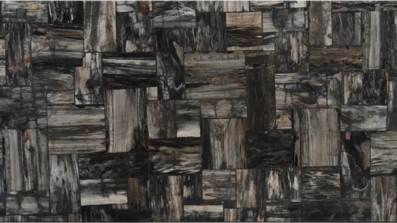 Black Petrified Wood Retro