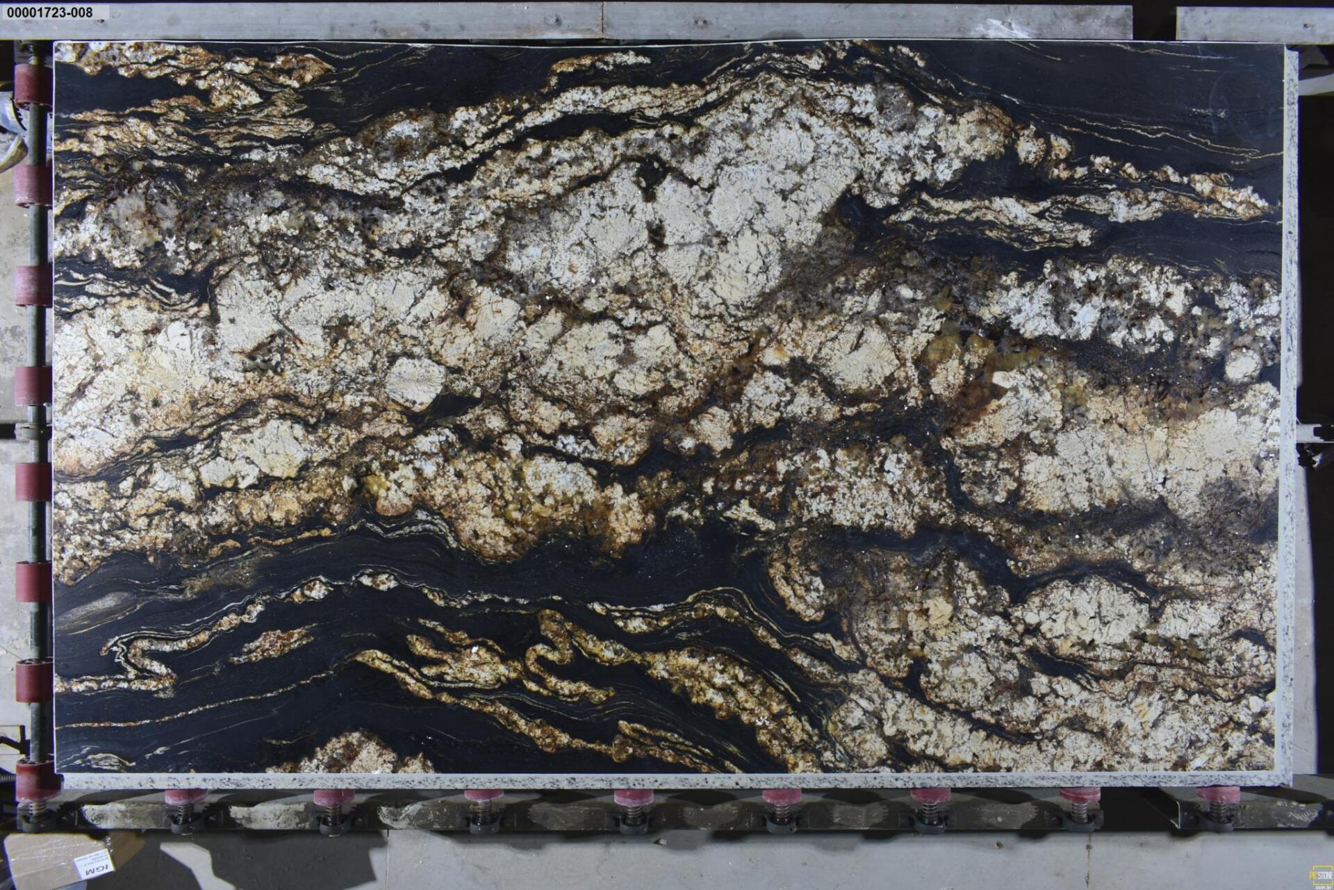 Black Taurus