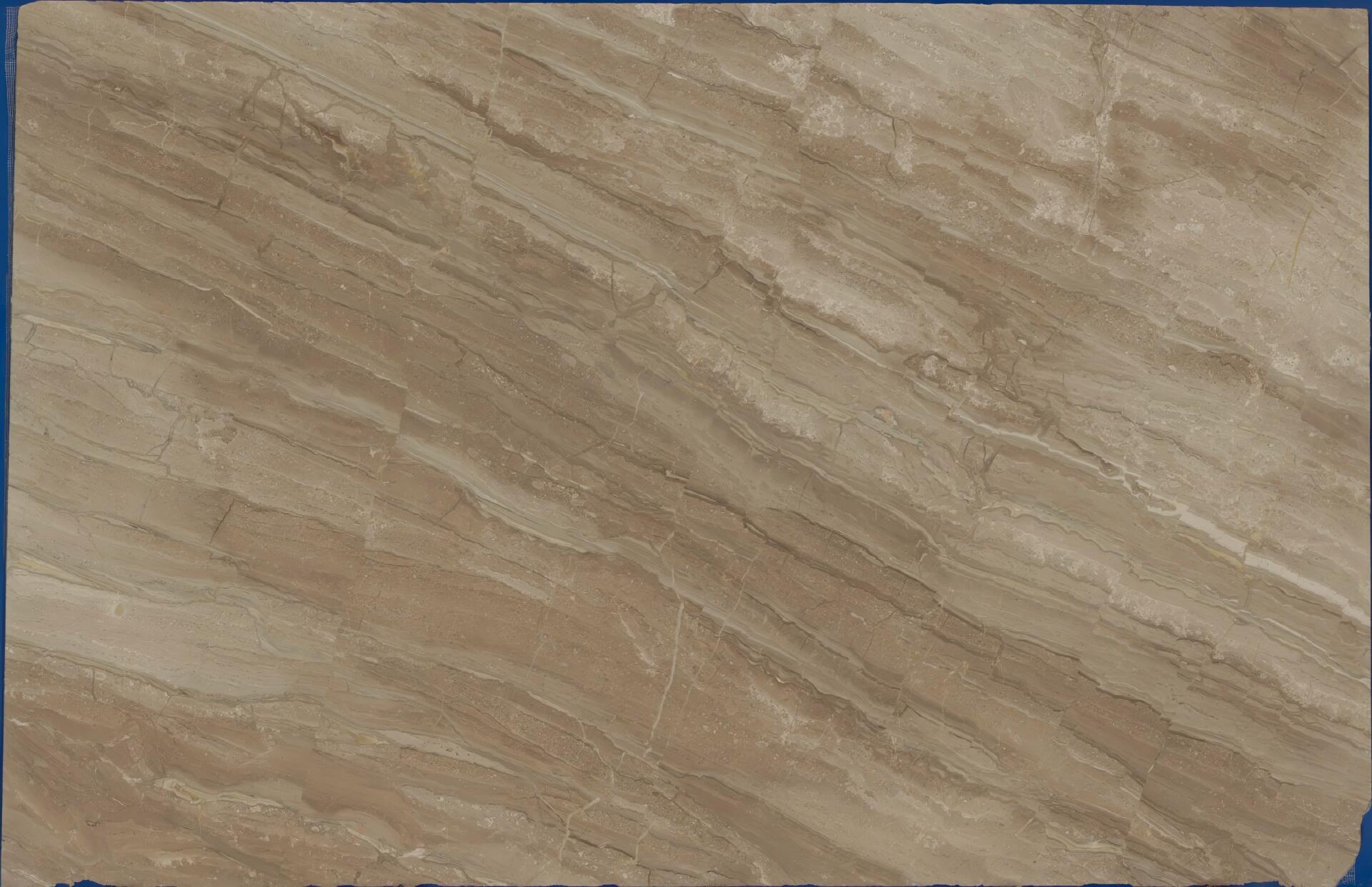 Breccia Sarda/Daino Reale