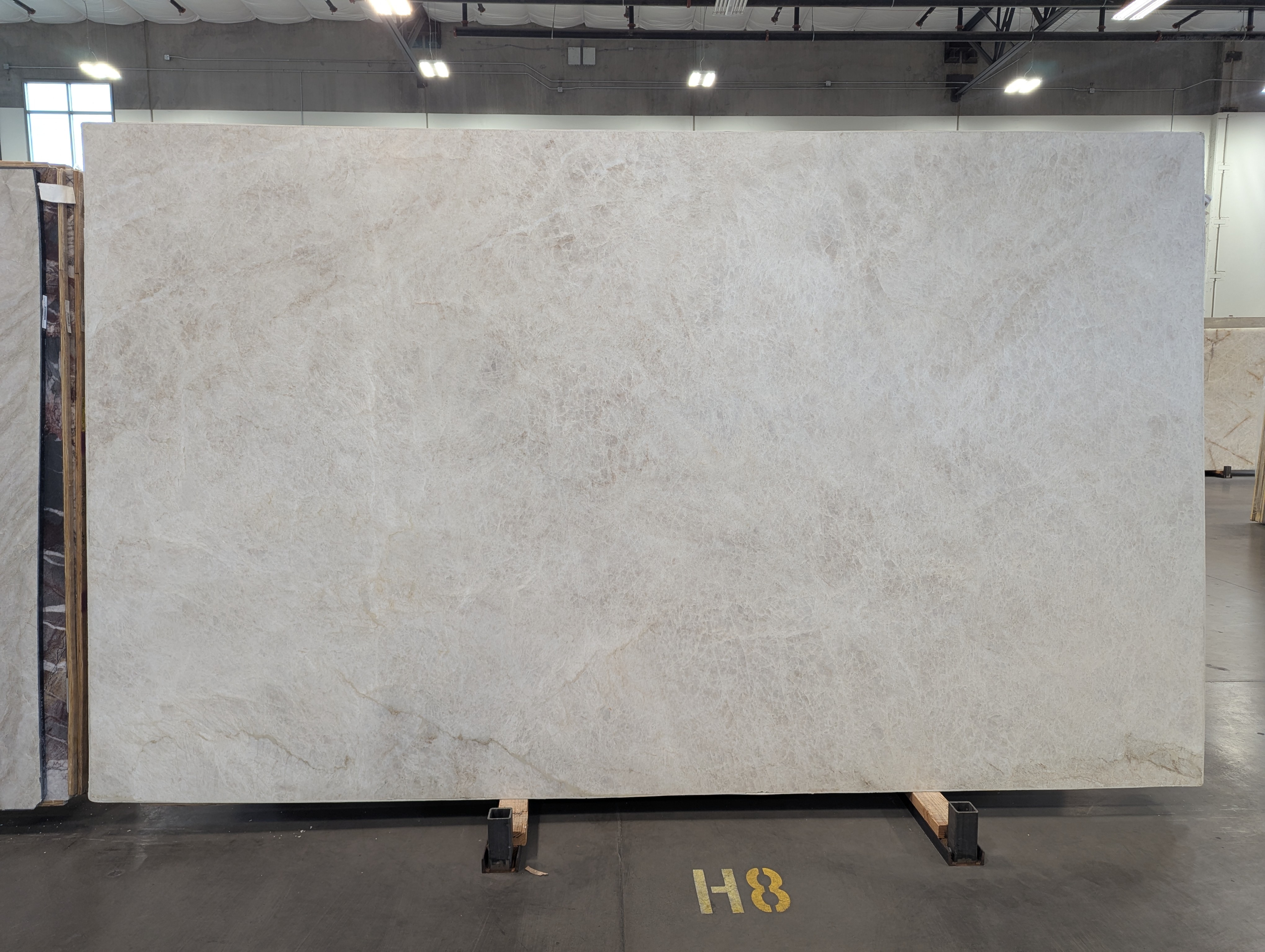 Venus/Taj Mahal Honed Finish 2cm Quartzite by PACIFICA