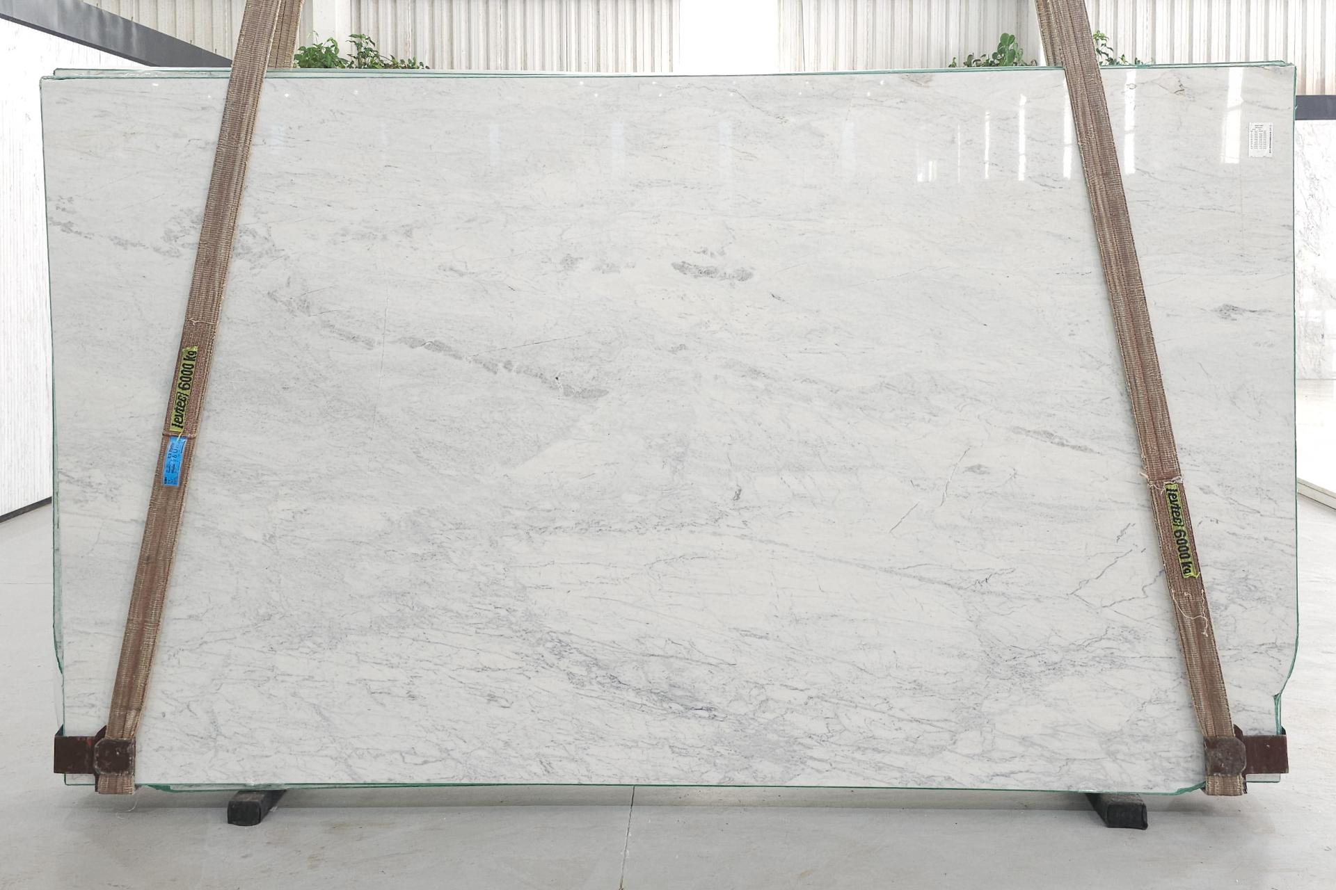 Calacatta Chiara Honed Finish 2cm Dolomite by PACIFICA