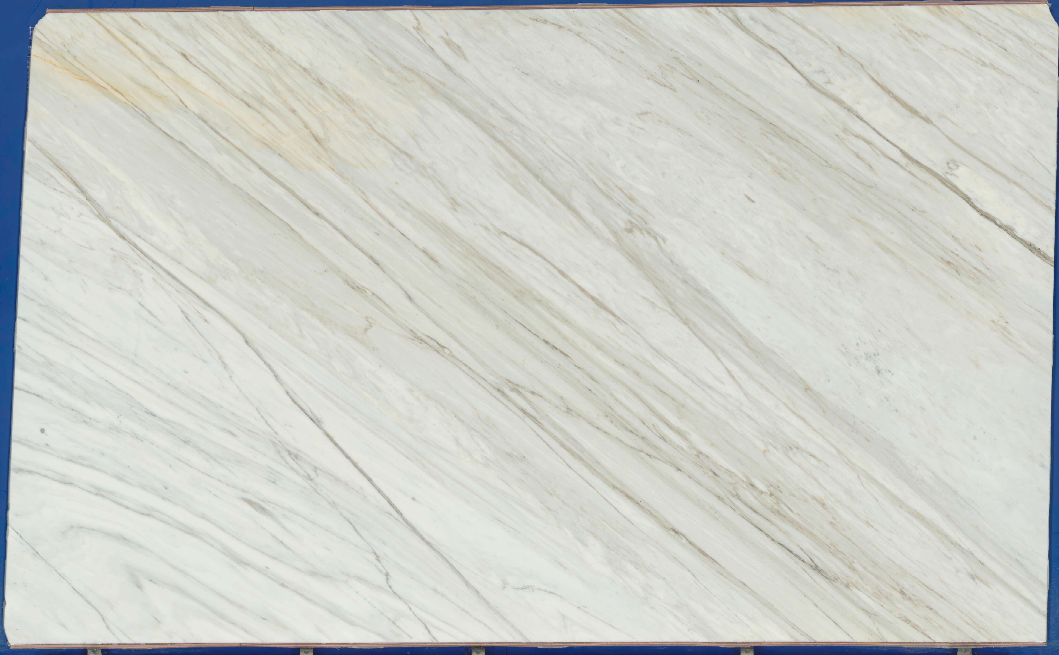 Calacatta Cremo