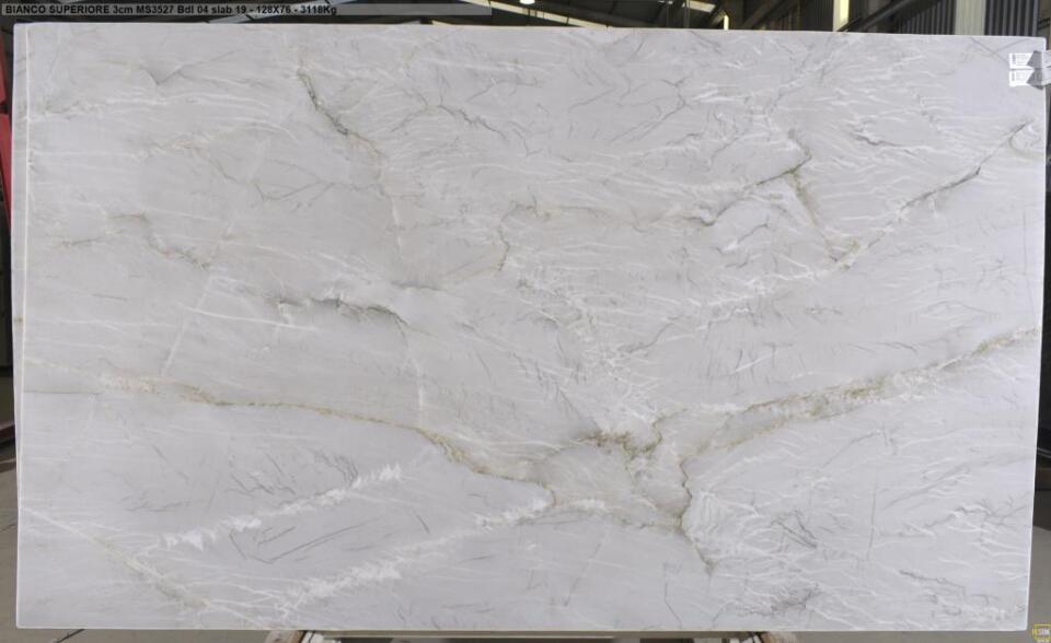 Swan