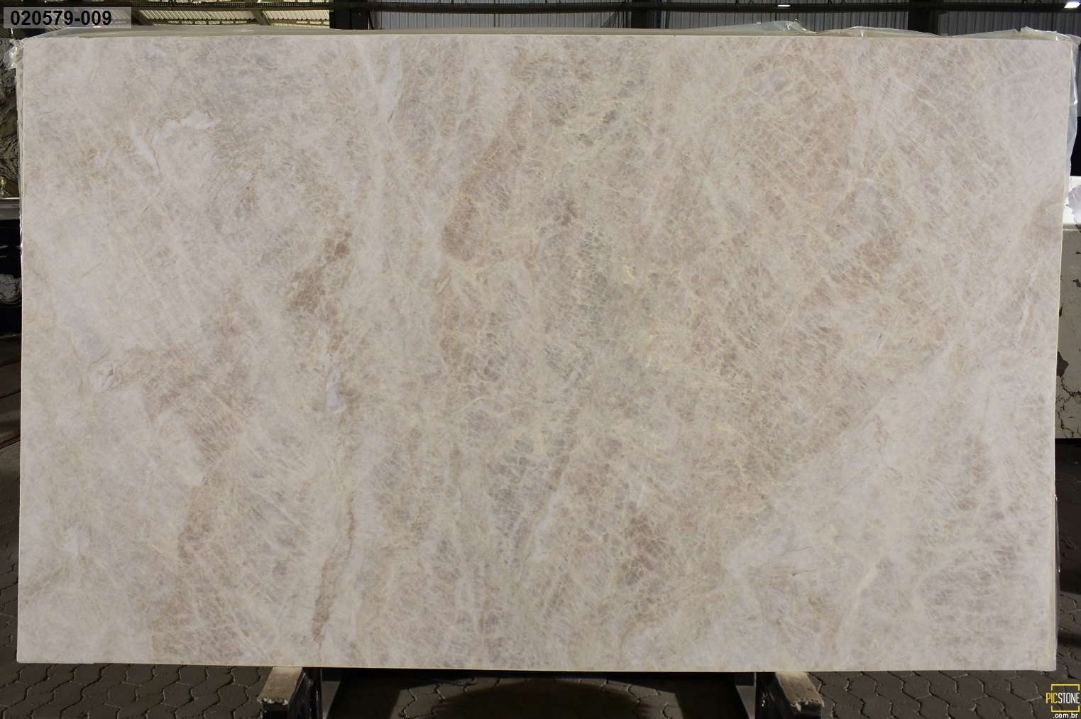 Taj Mahal Leather 2cm Quartzite by PACIFICA