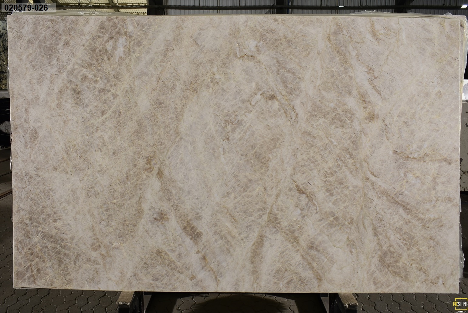 Taj Mahal Premium 2cm Quartzite by PACIFICA