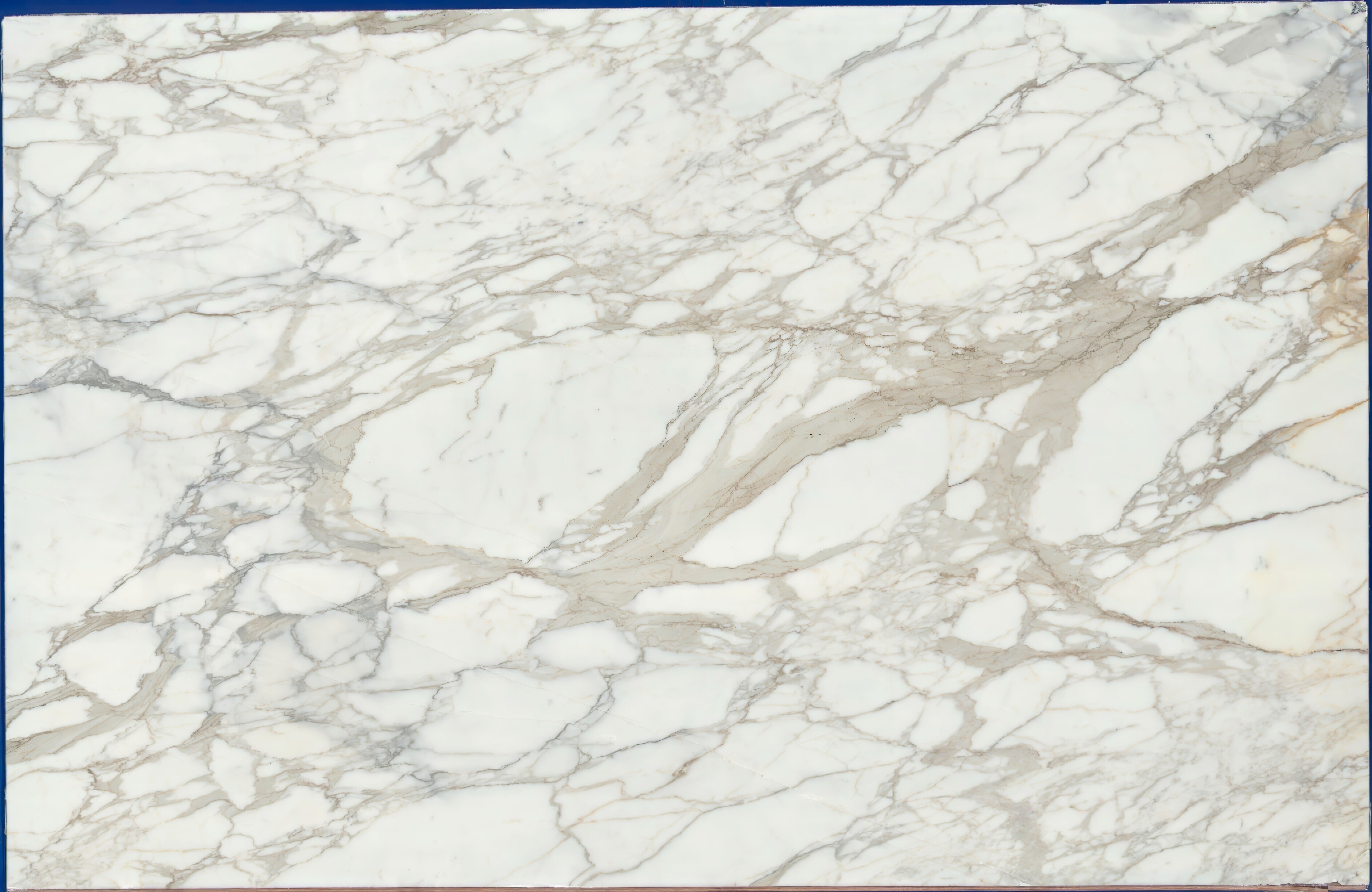Calacatta Borghini