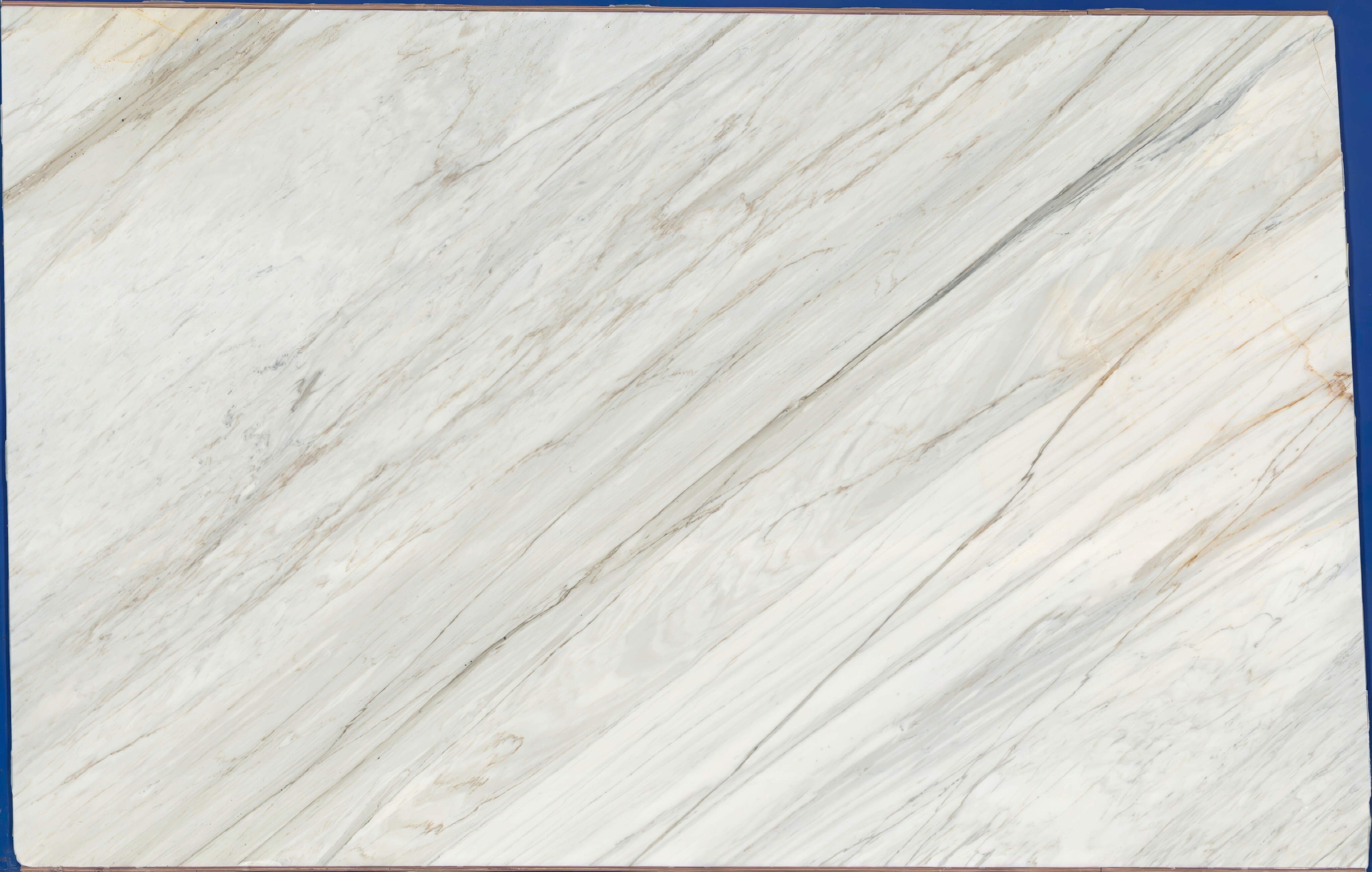 Calacatta Cremo