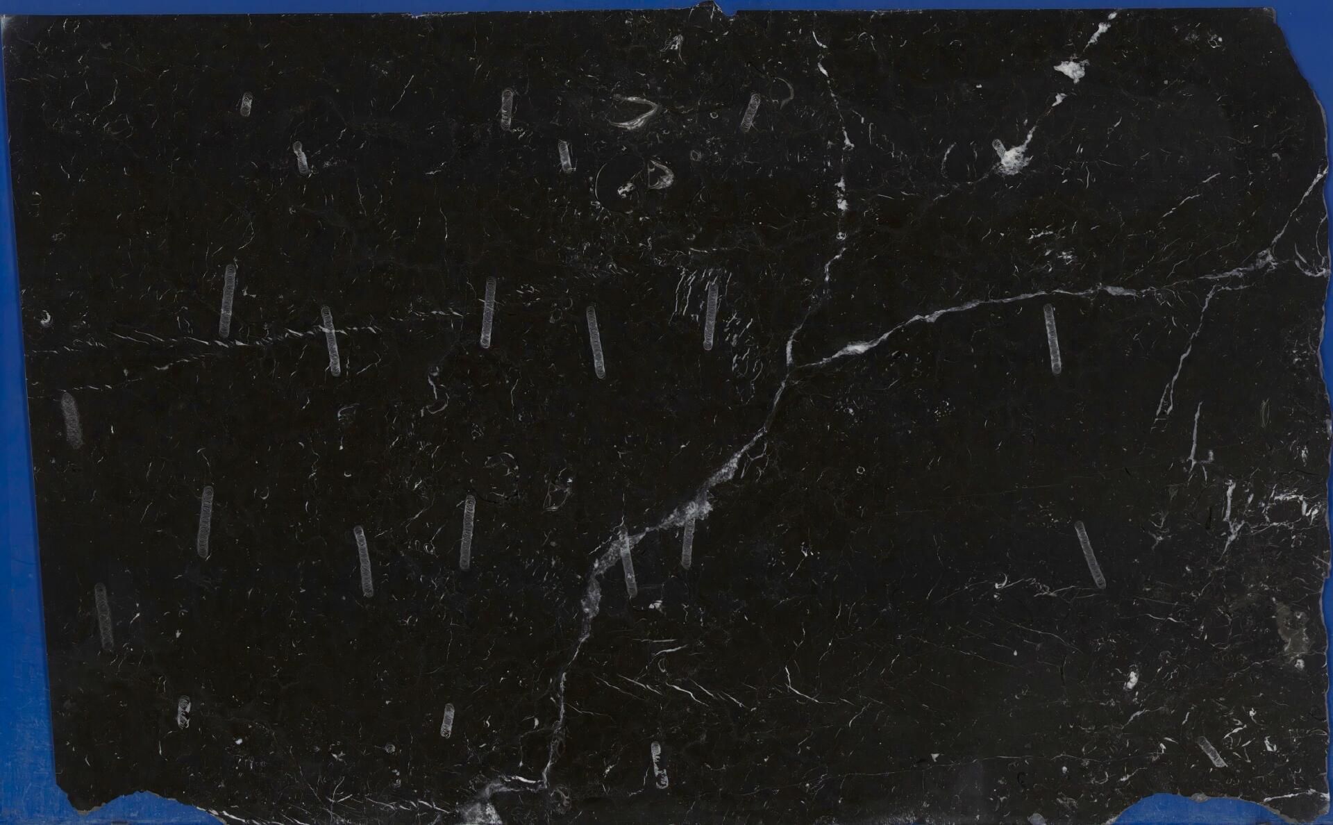 Negro Marquina