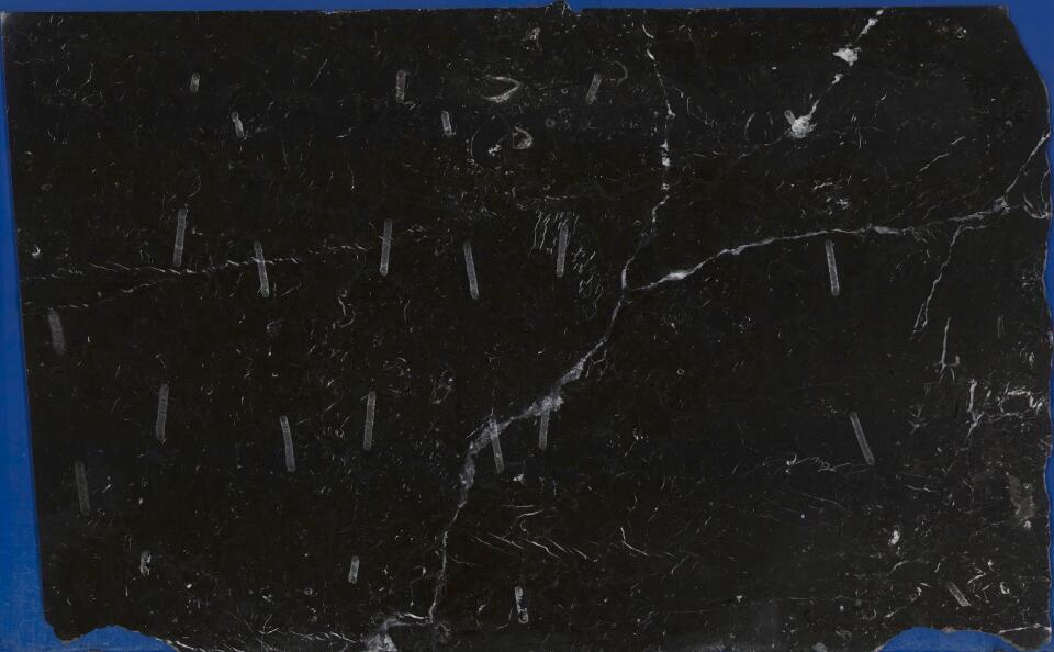 Negro Marquina