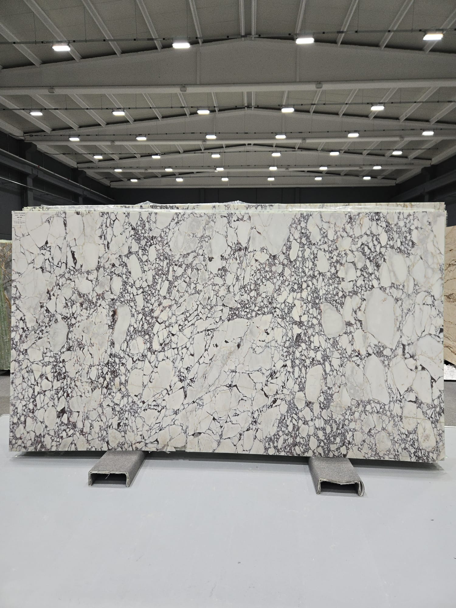 Calacatta Viola Polished 2cm Marble by PACIFICA