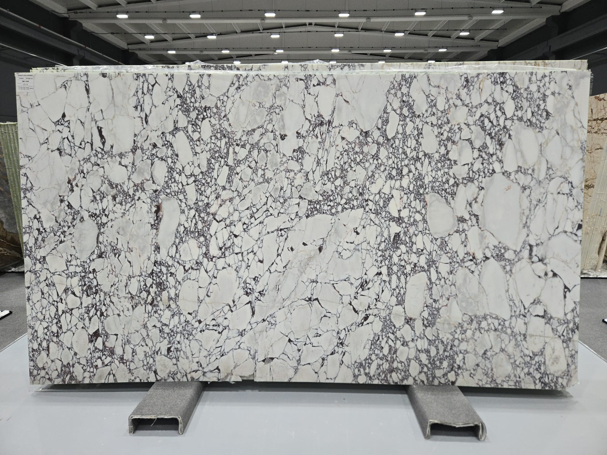 Calacatta Viola Honed 2cm Marble by PACIFICA