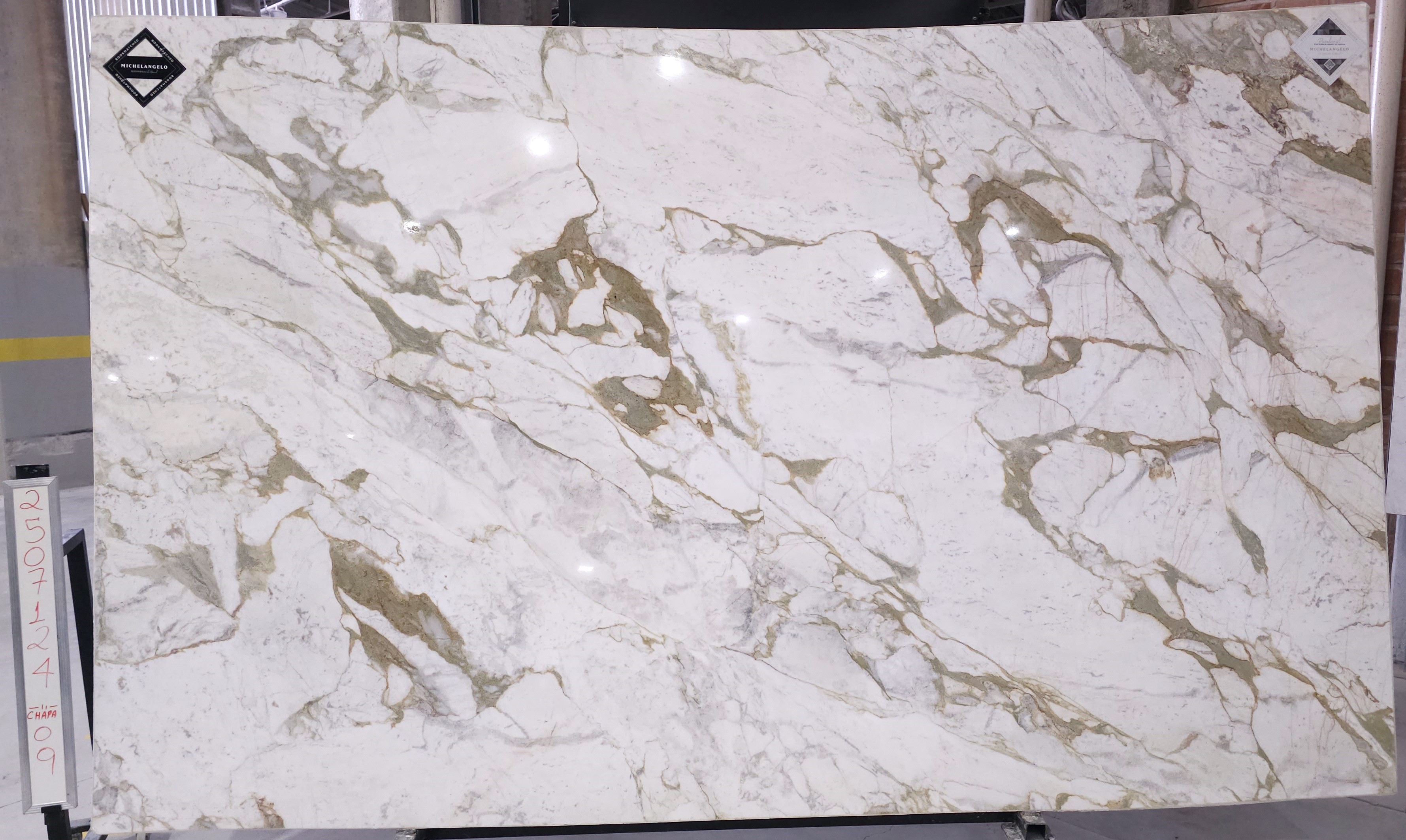 Calacatta Chiara Polished Finish 2cm Dolomite by PACIFICA