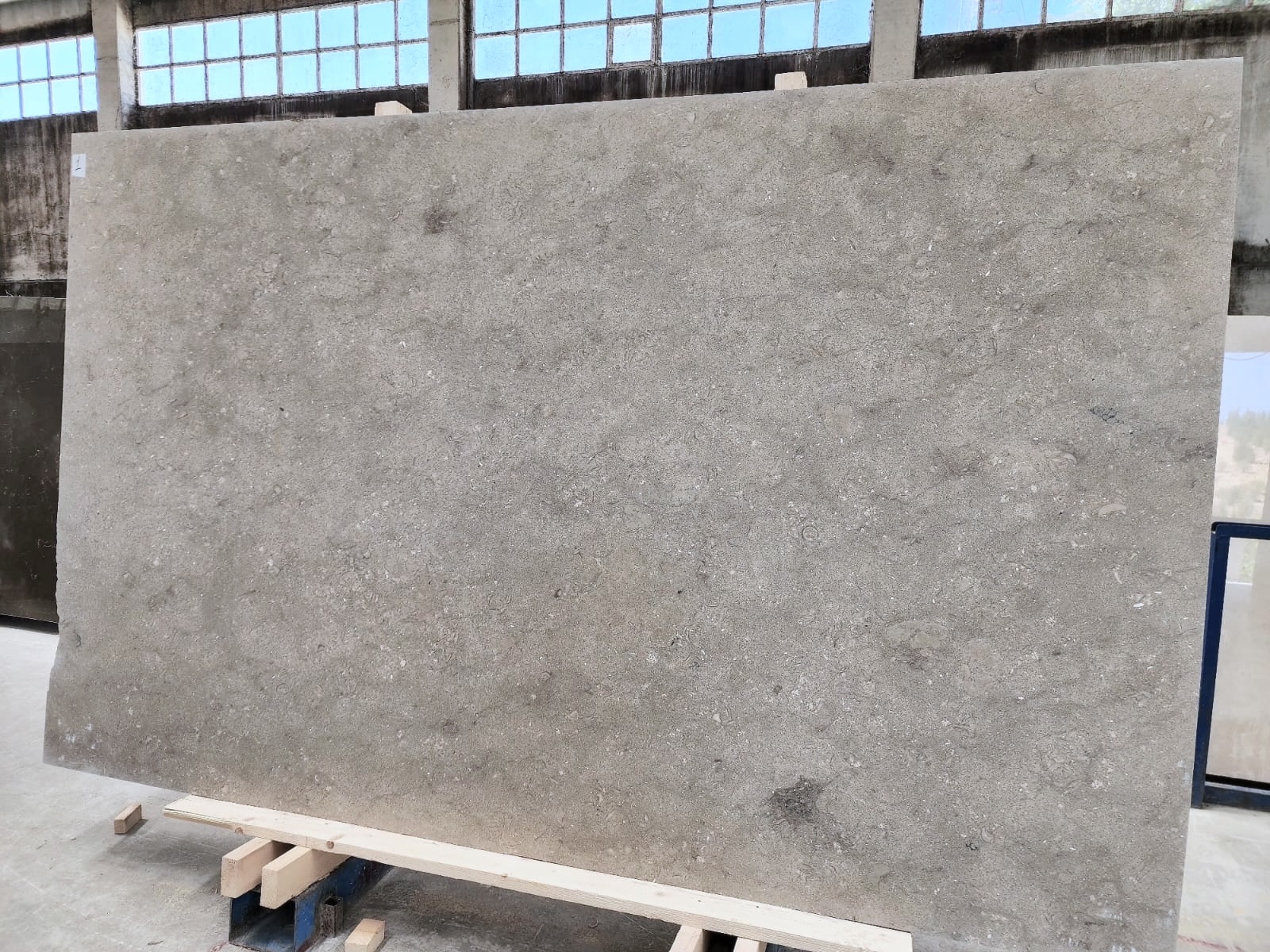 Seagrass Honed 2Cm Limestone by PACIFICA