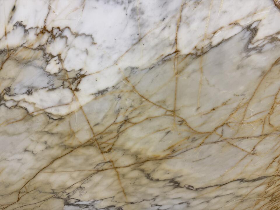 Calacatta Gold Vein
