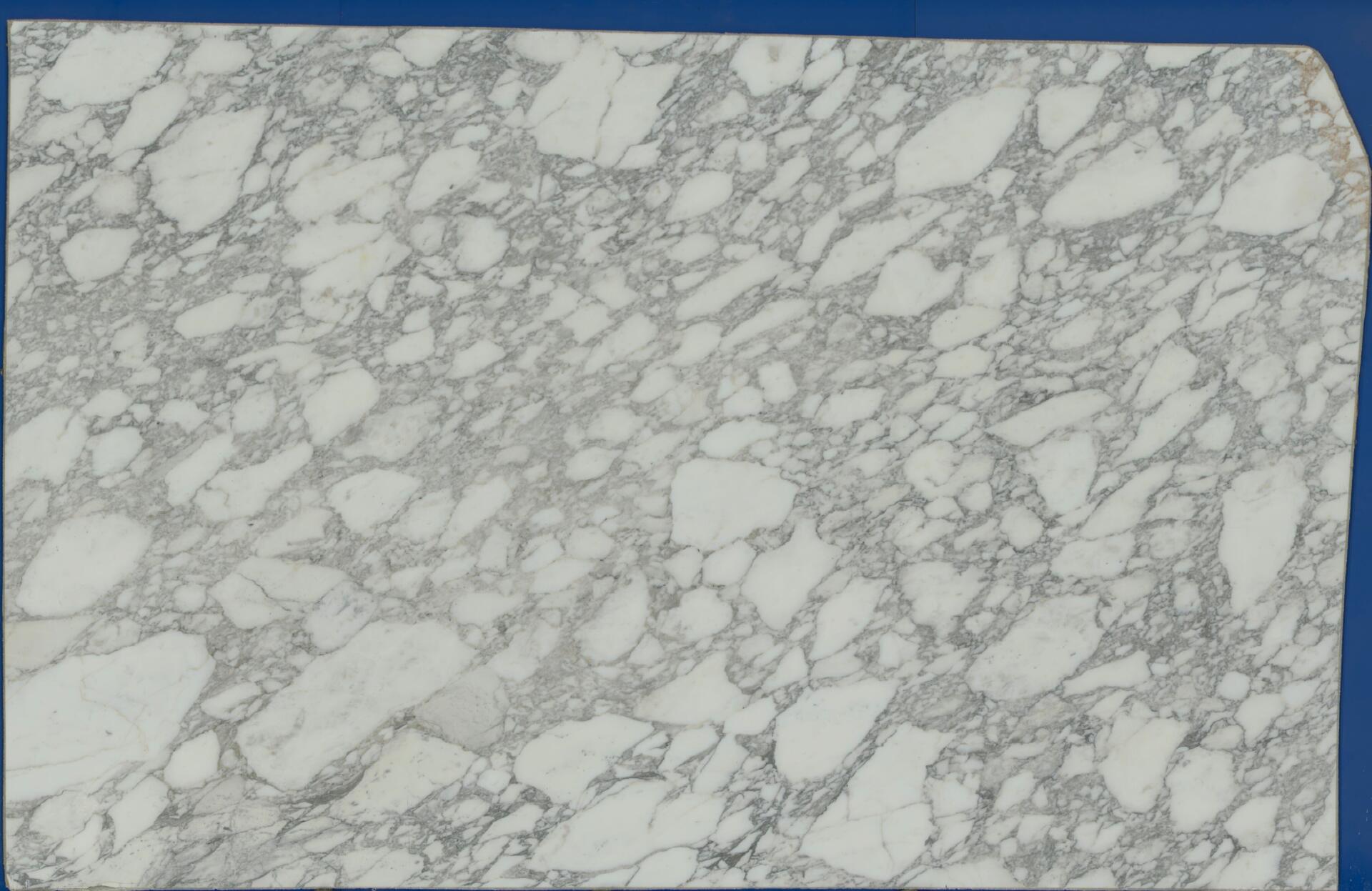 Calacatta Vagli Classico