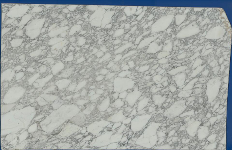 Calacatta Vagli Classico