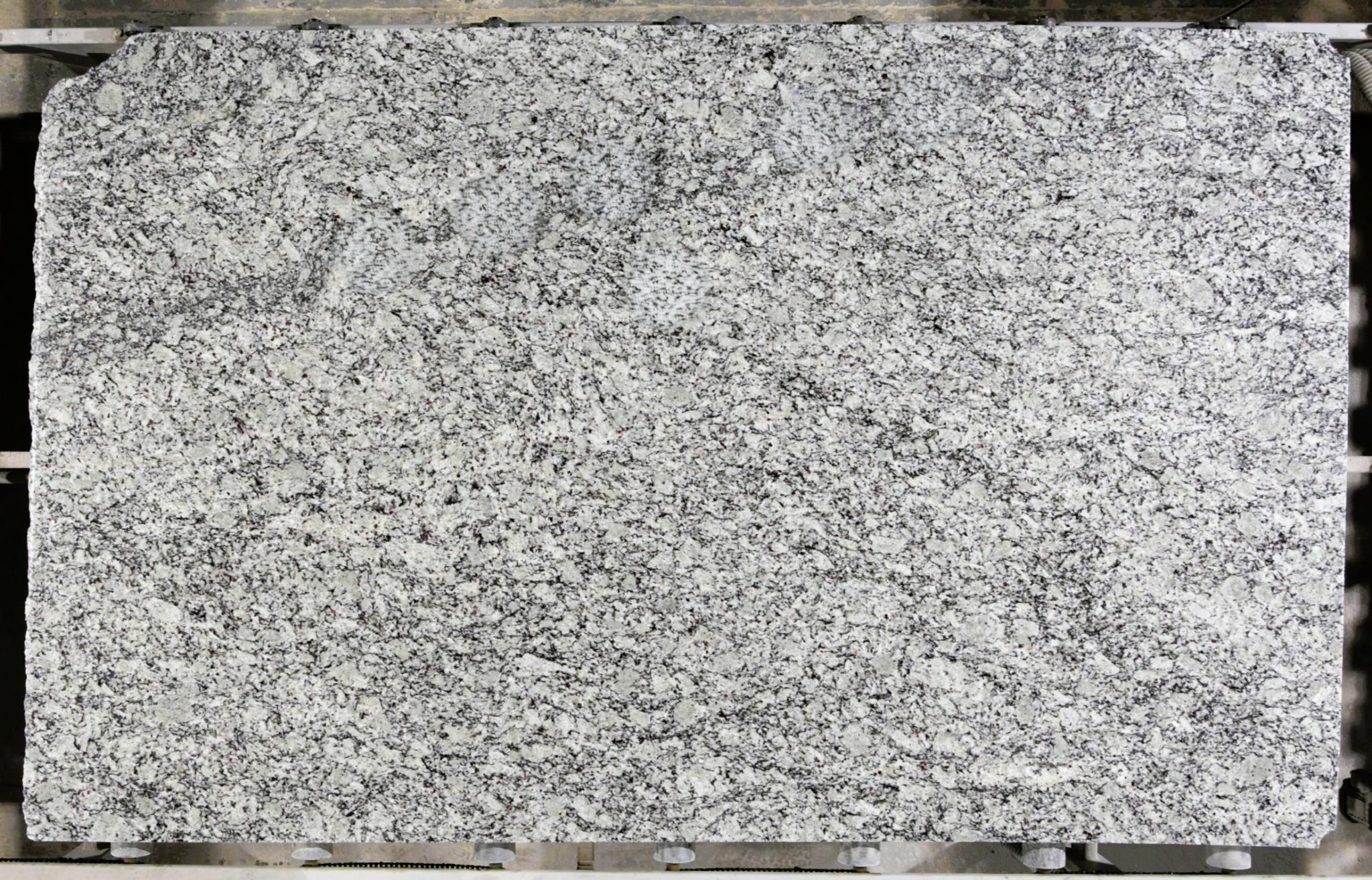 Ashen White