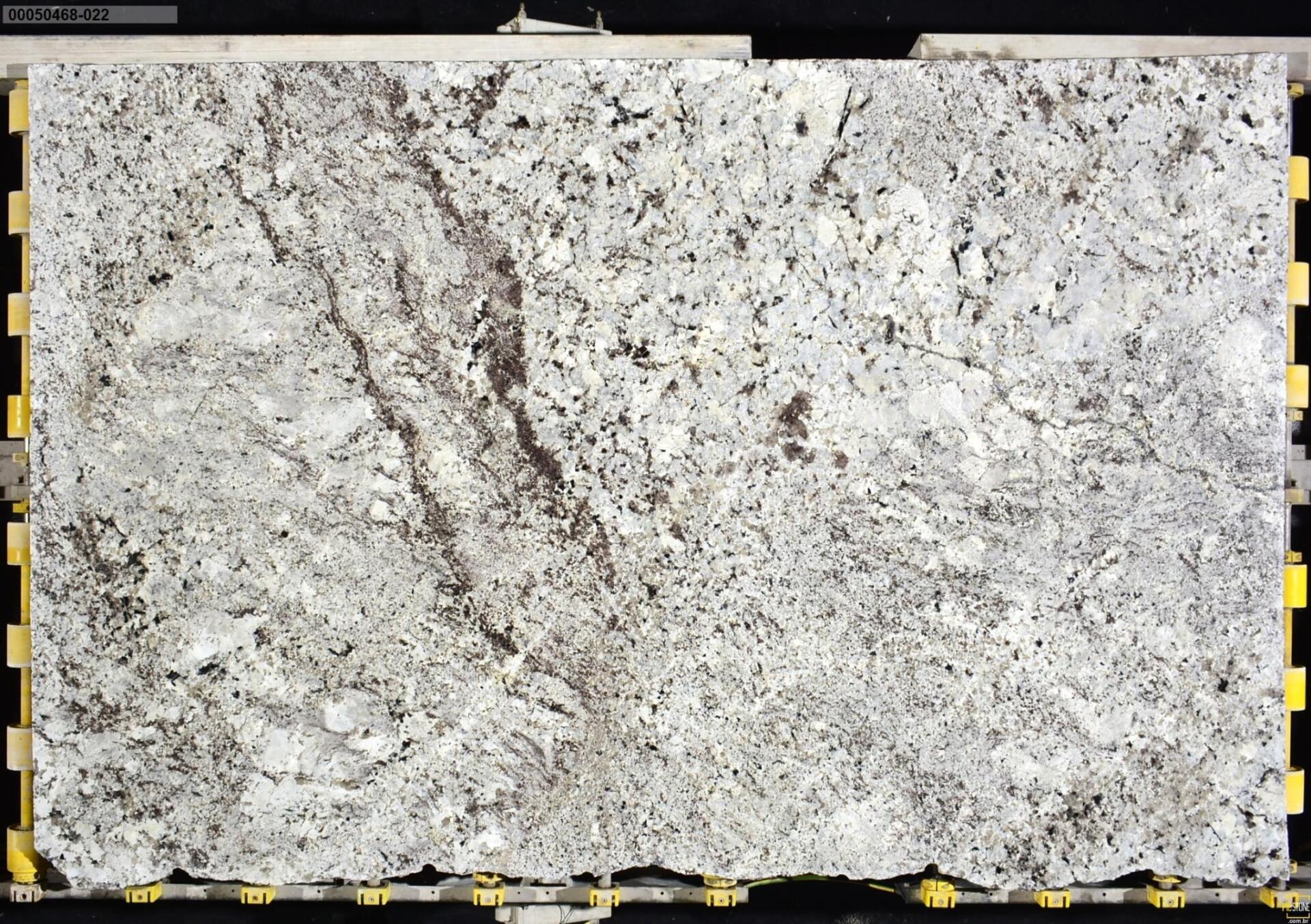 Alaska White