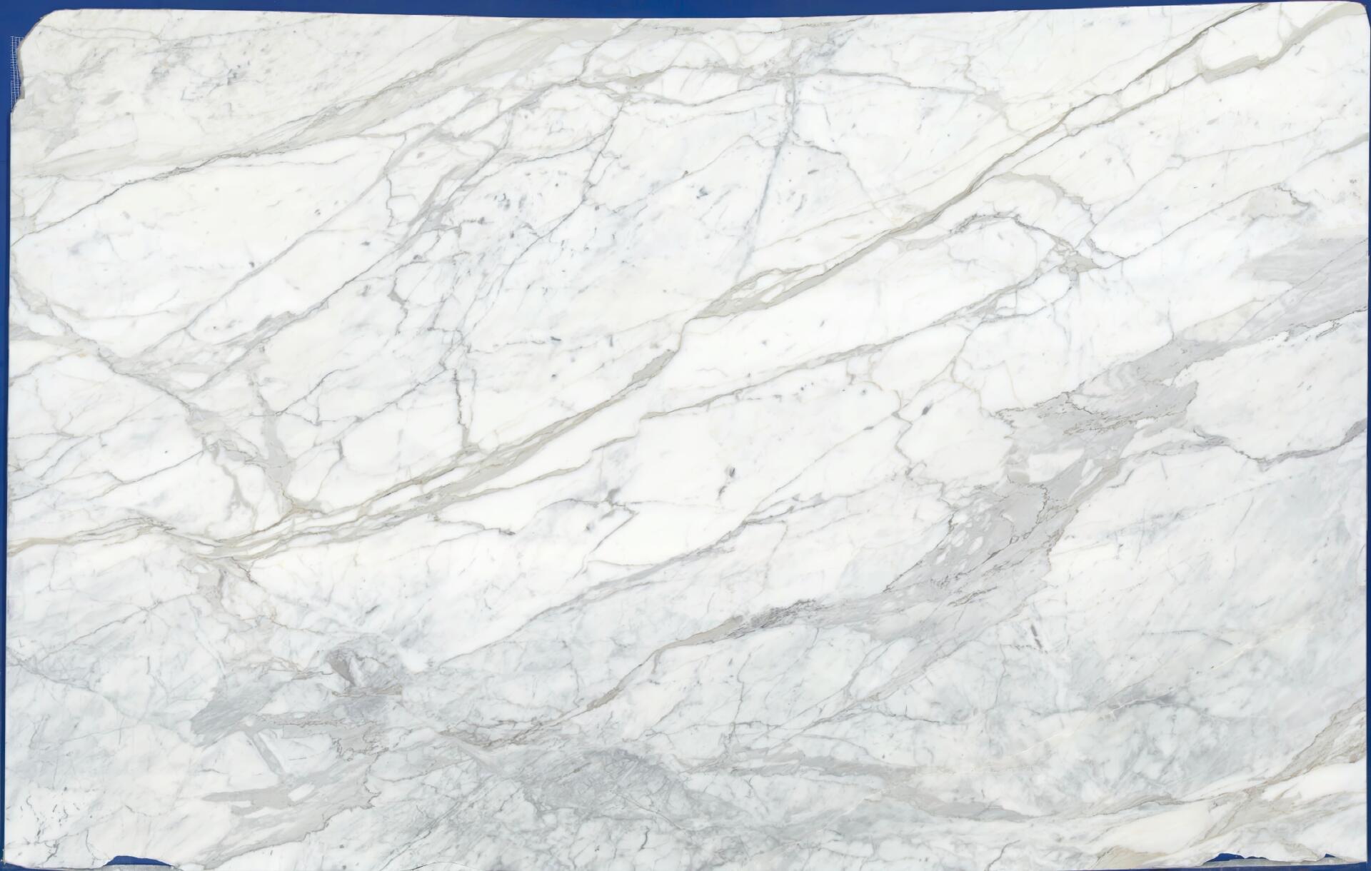 Calacatta Cremo