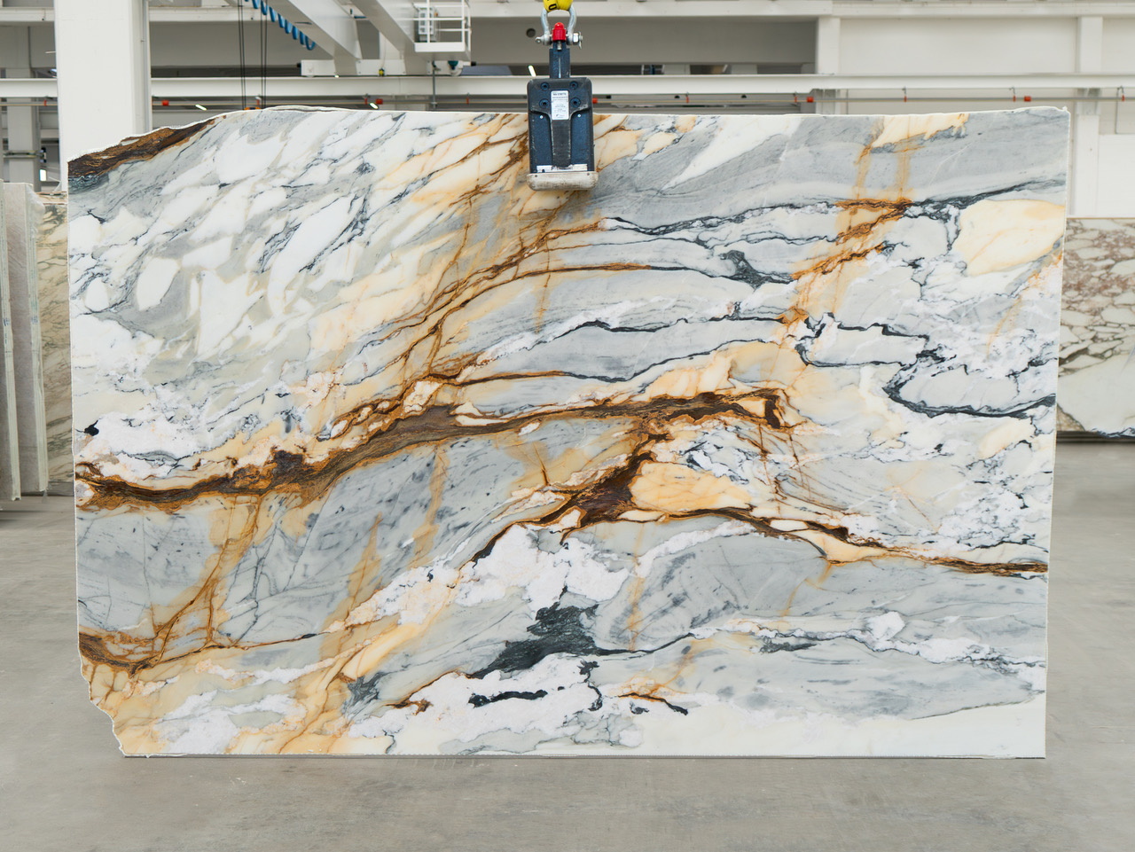 Calacatta Marble slab at Modul Marble