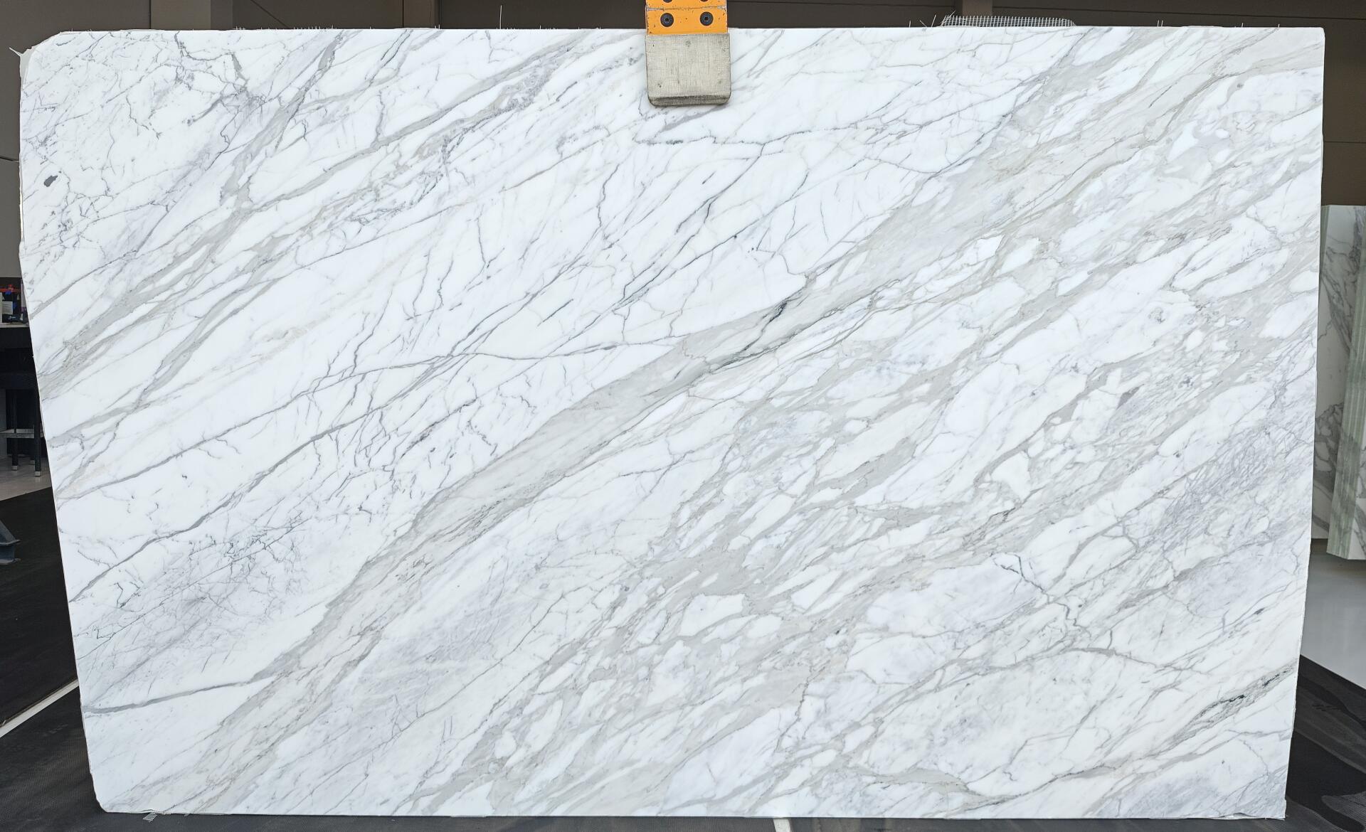Calacatta Cremo