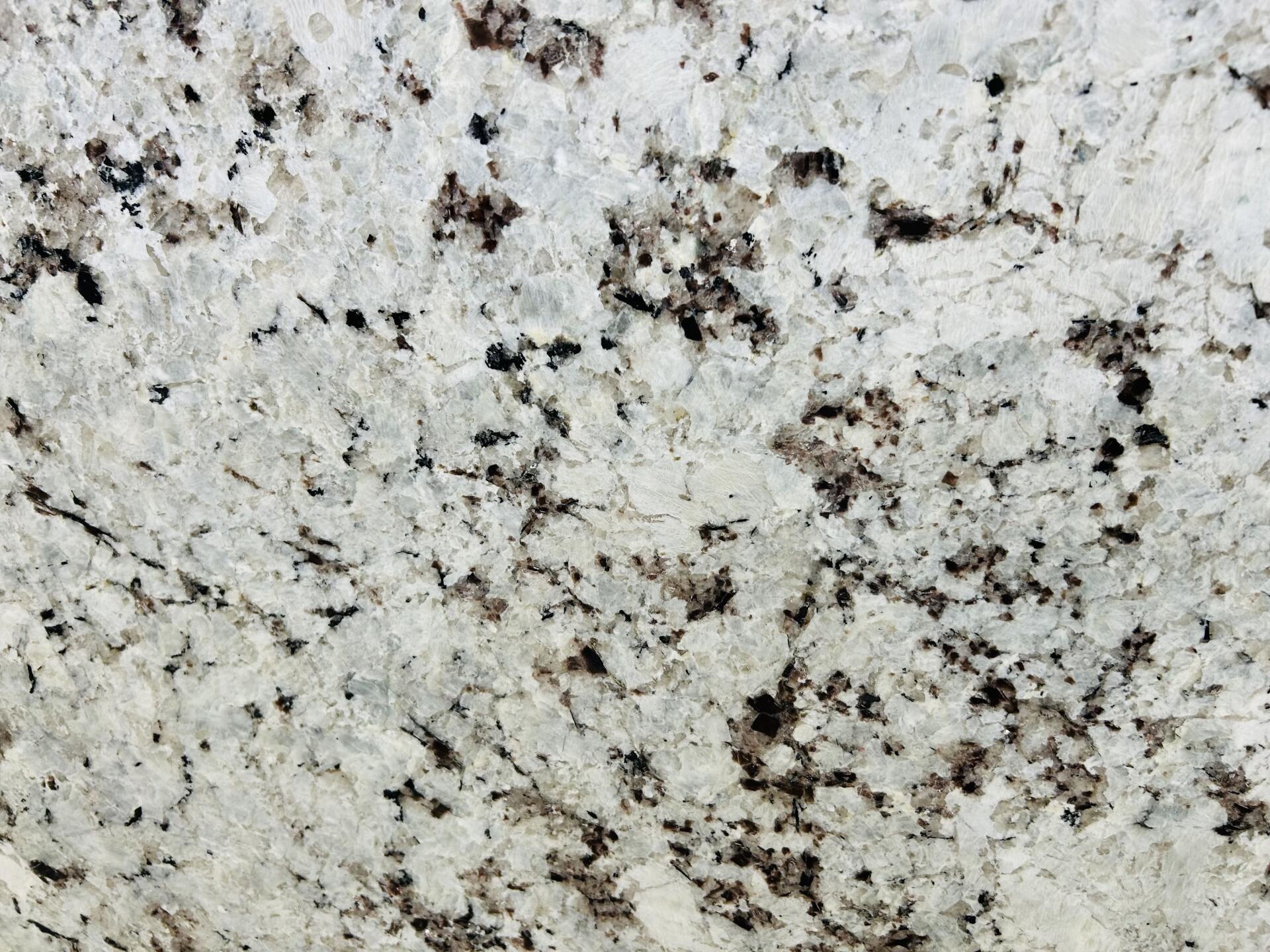Alaska White