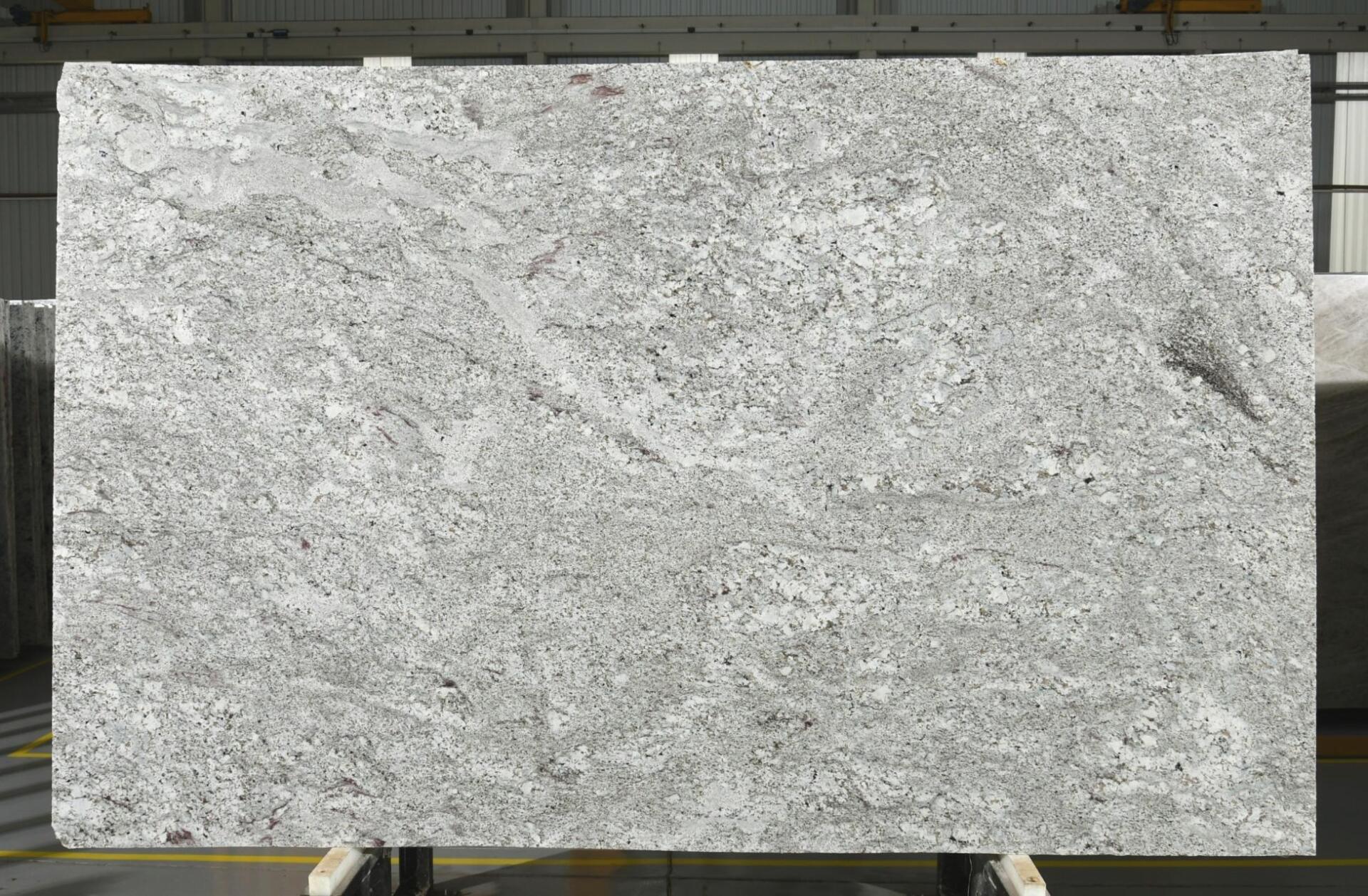Andino White
