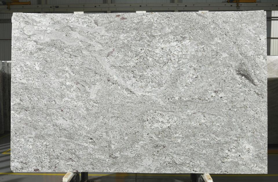 Andino White