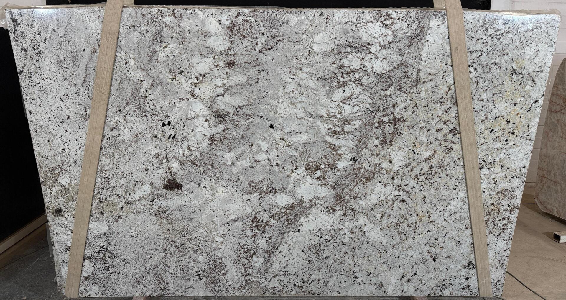 Alaska White
