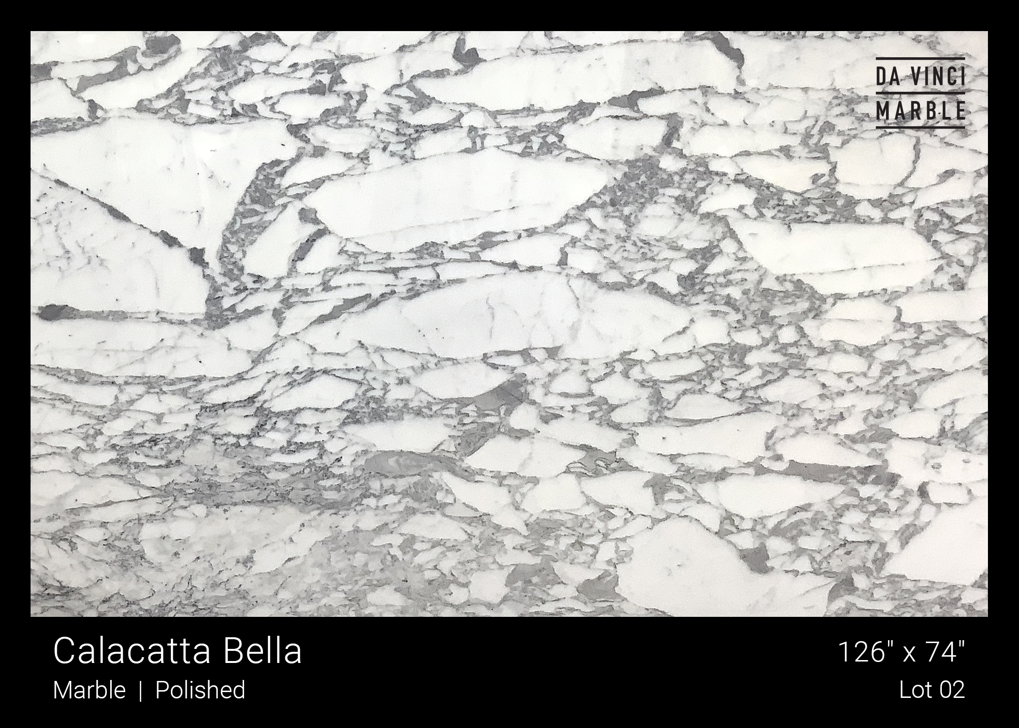 Calacatta Bella Polished 2cm Slab