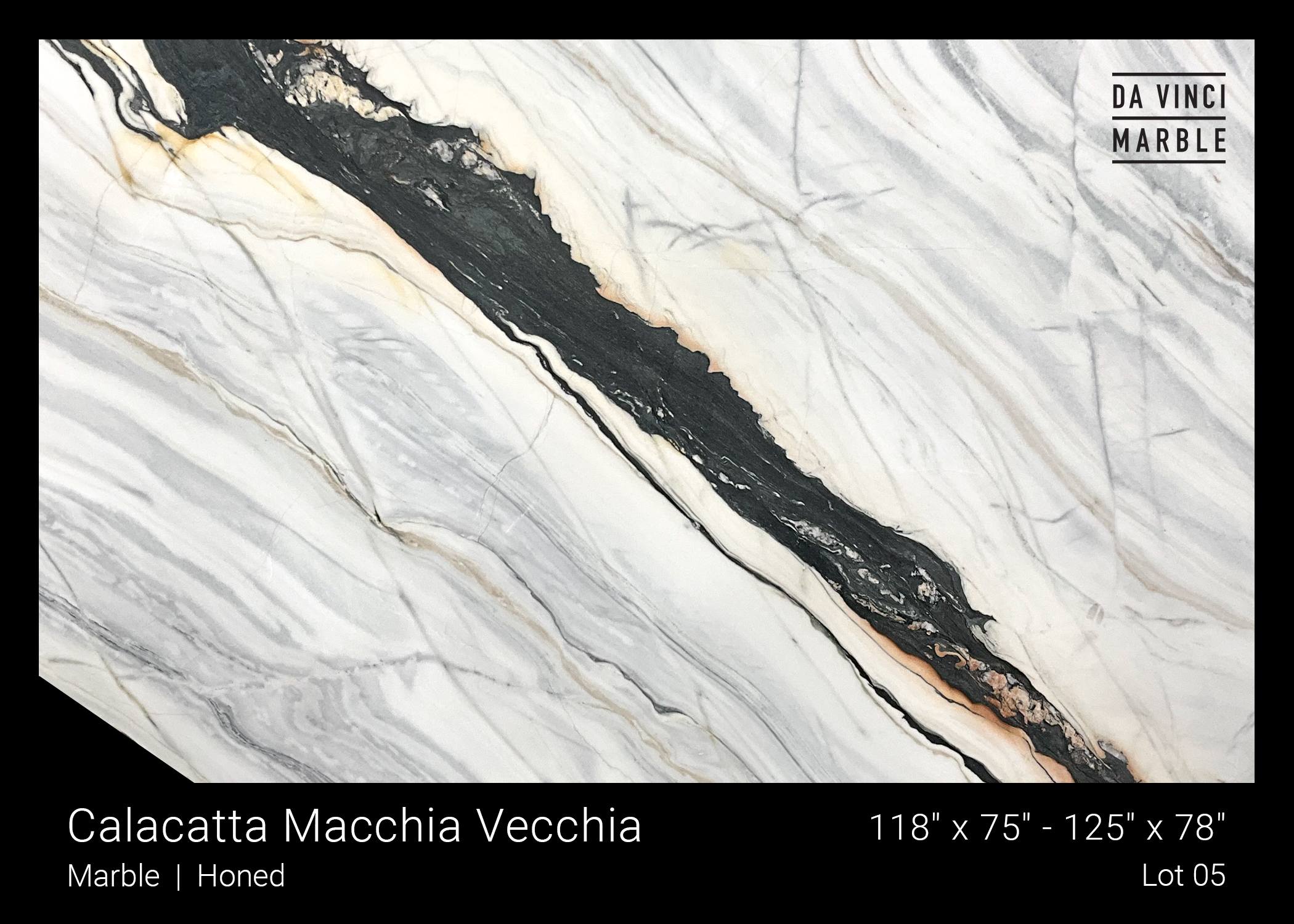 Calacatta Macchia Vecchia Honed 2cm Slab