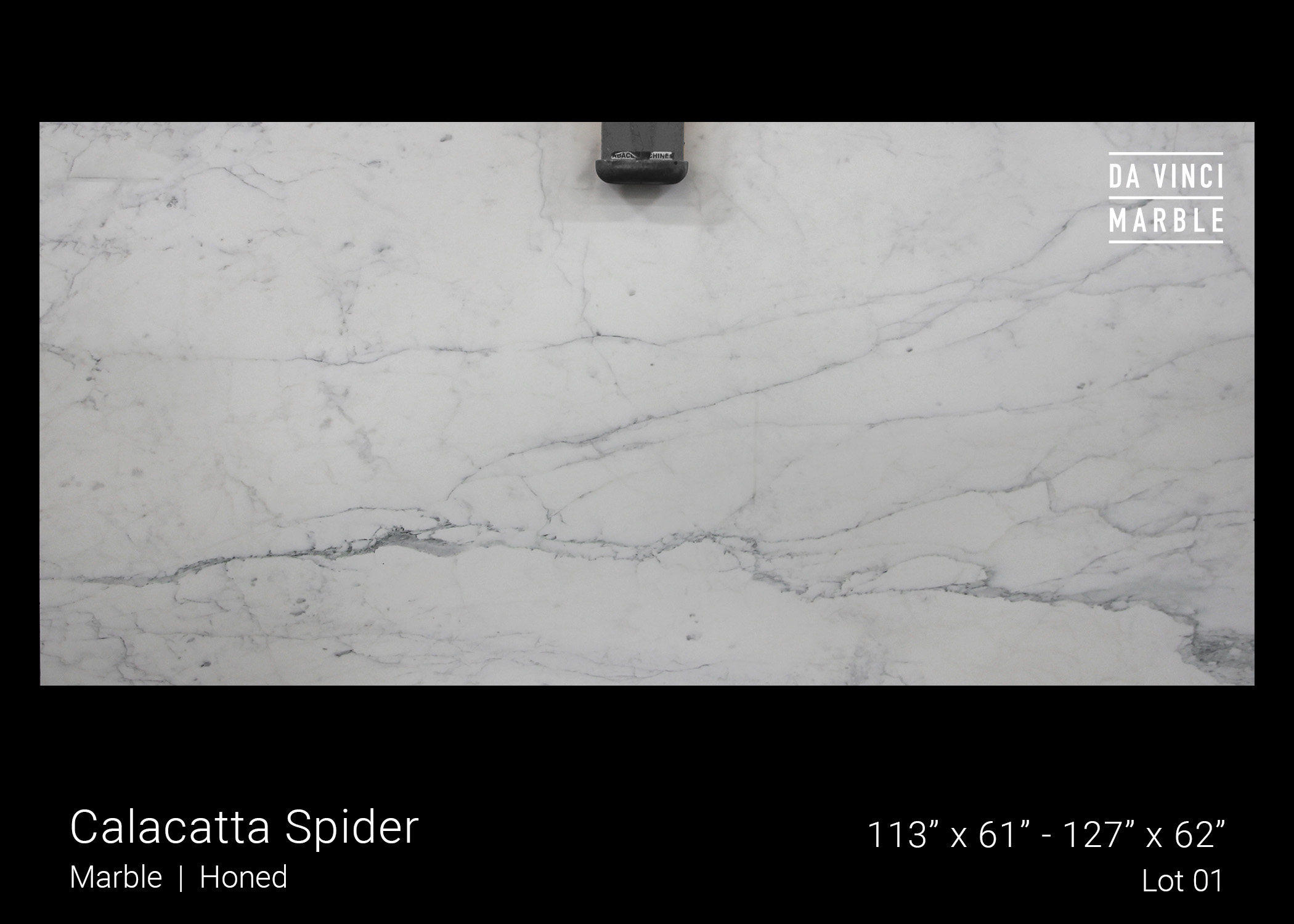 Calacatta Spider Honed 2cm Slab