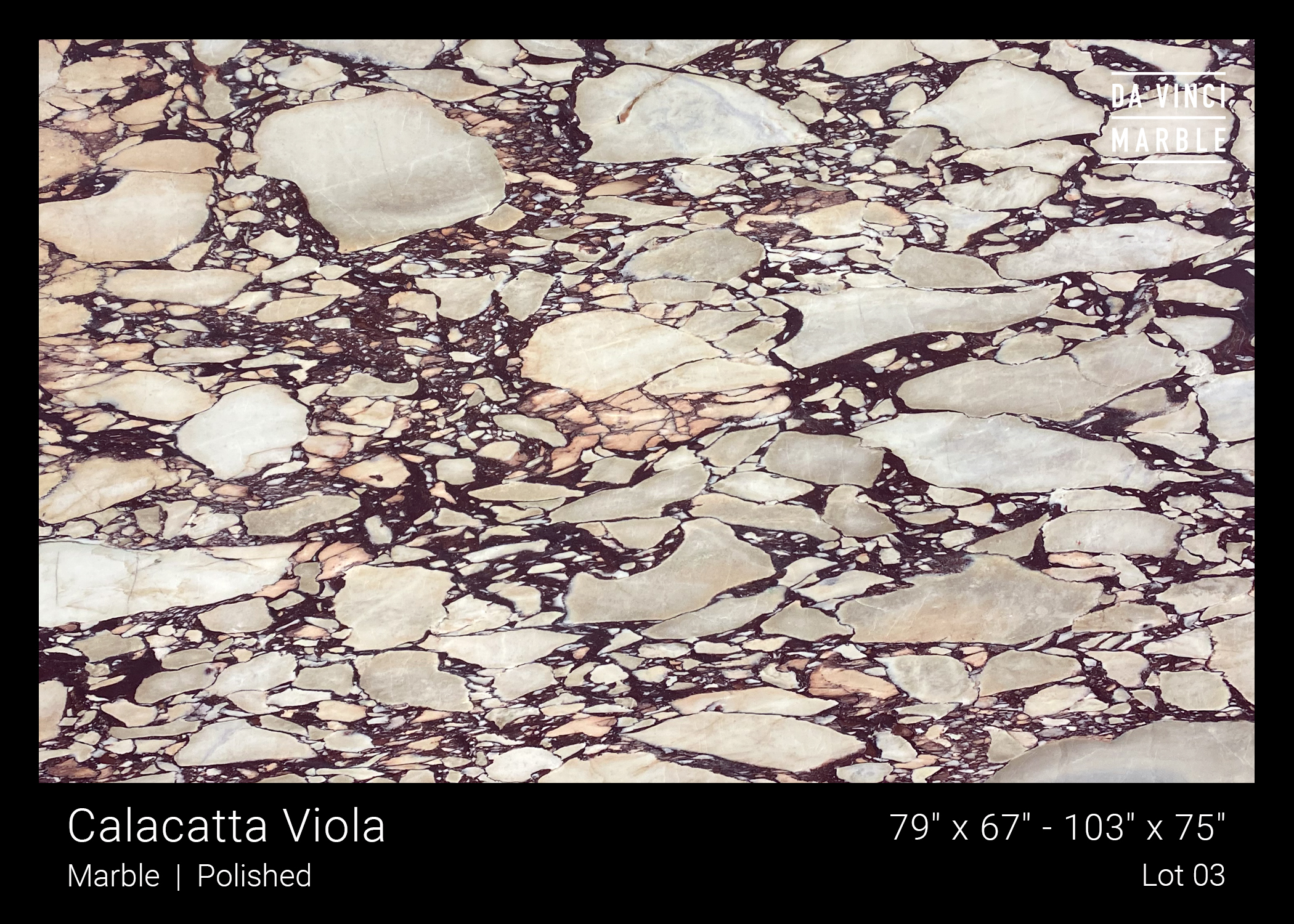 Calacatta Viola Polished 2cm Slab