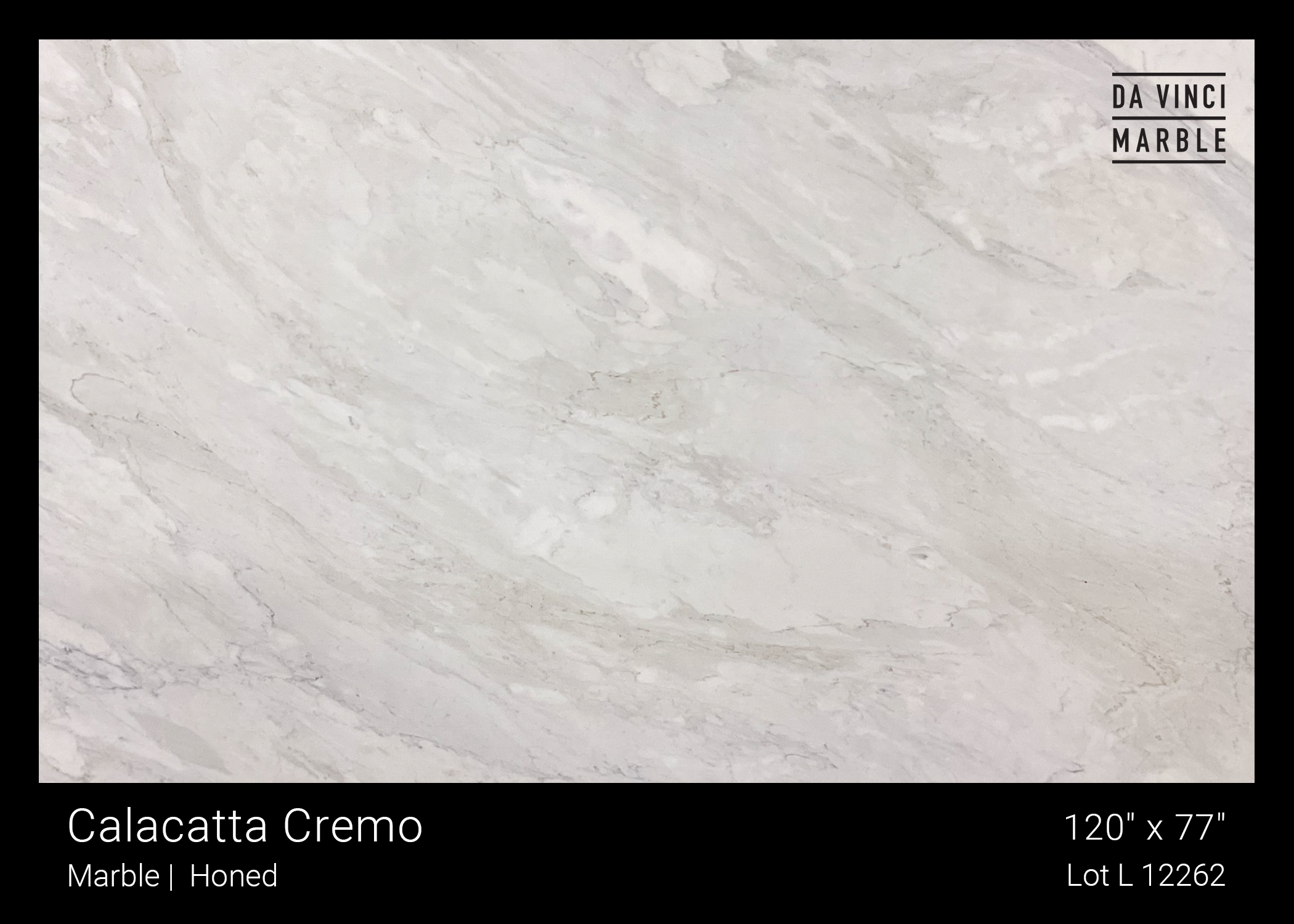 Calacatta Cremo Honed 2cm Slab