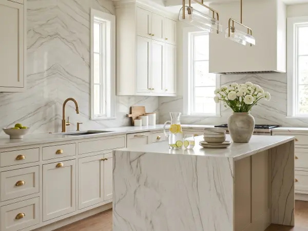 Luce Di Luna Transitional Kitchen