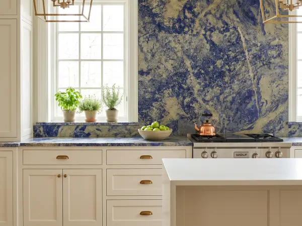 Sodalite Blue Transitional Kitchen