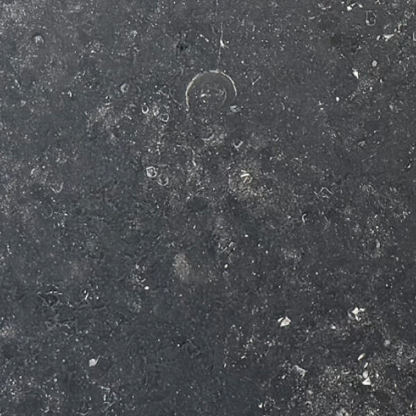Petit Granite Leather 3/4