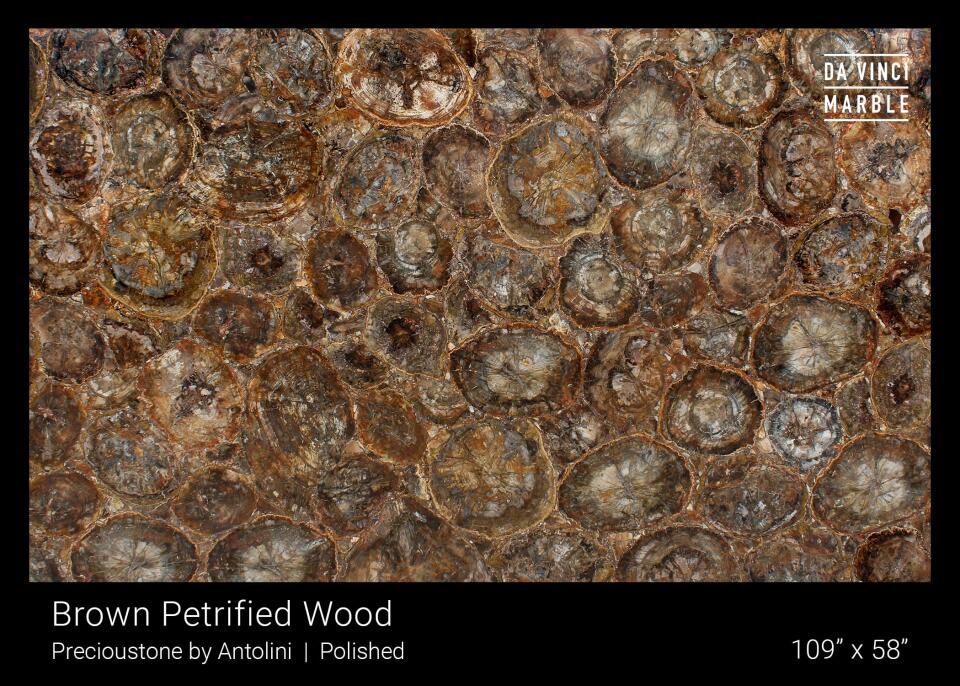 Brown Petrified Wood 3/4