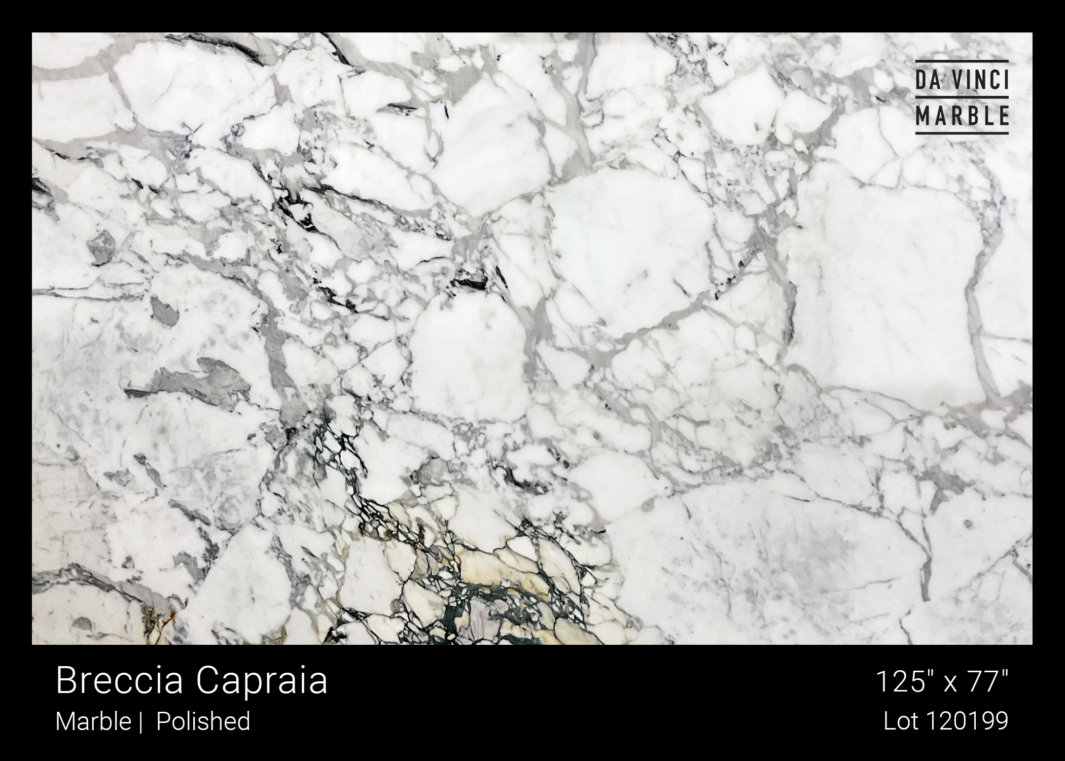 Breccia Capraia Polished 3/4