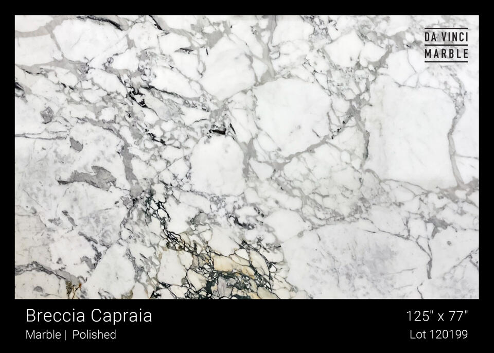 Breccia Capraia Polished 2Cm Slab