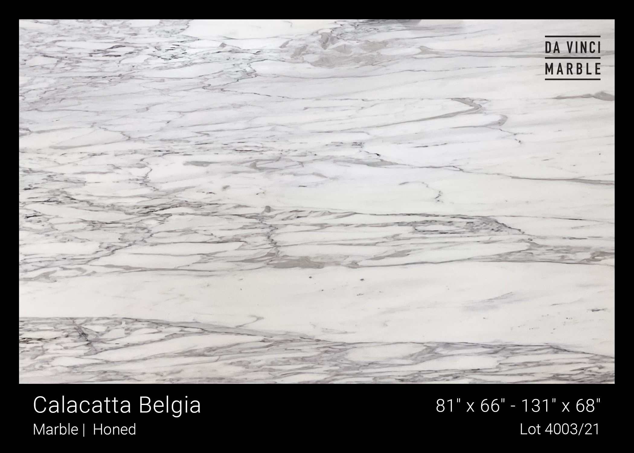 Calacatta Belgia Honed 3/4