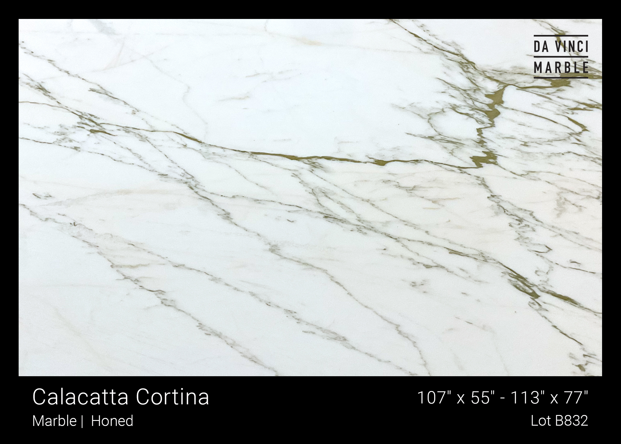 Calacatta Cortina Honed 3/4